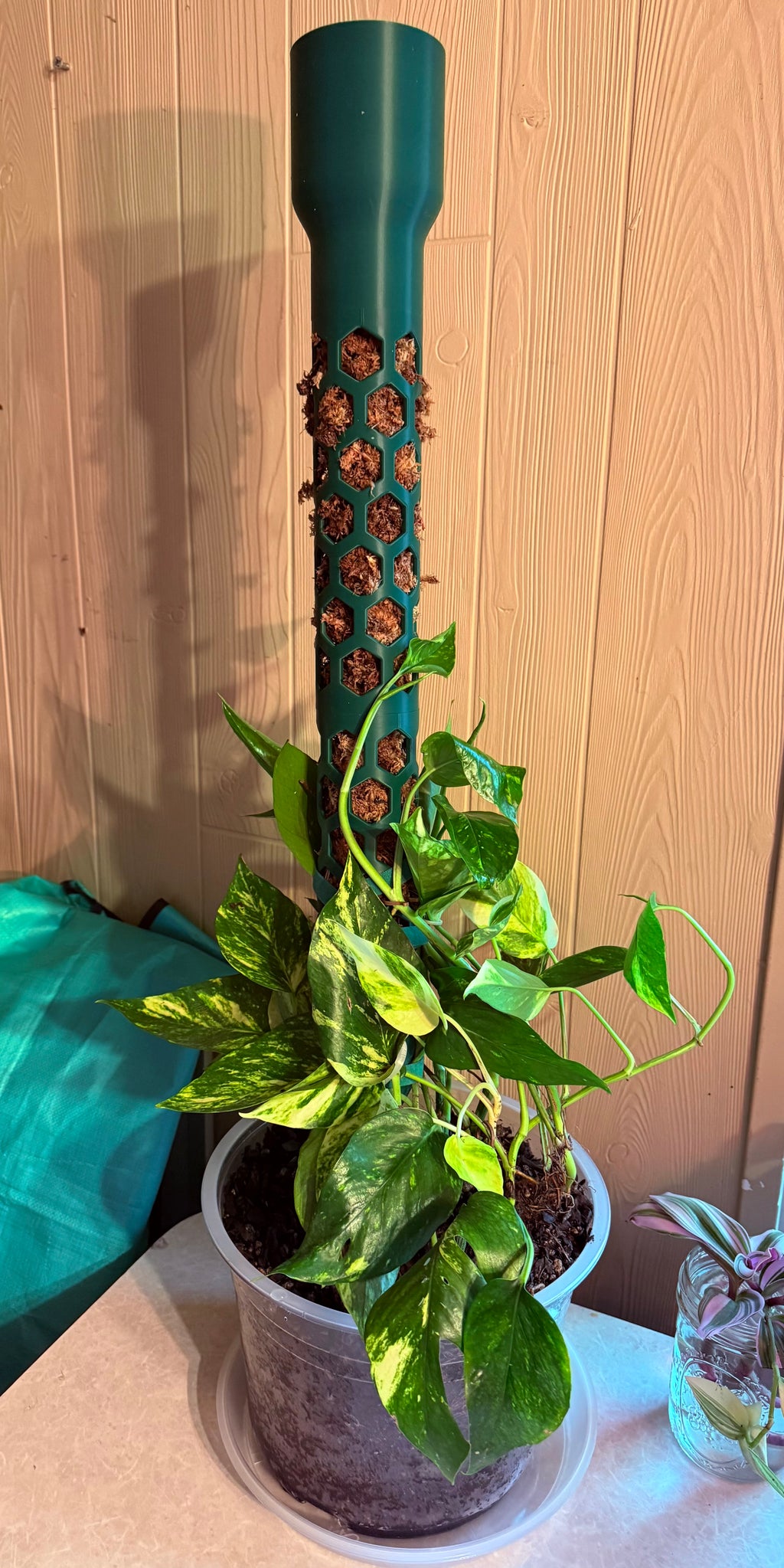 Modular Moss Pole System 2 Inch PETG Self Watering Monstera Plant Trellis