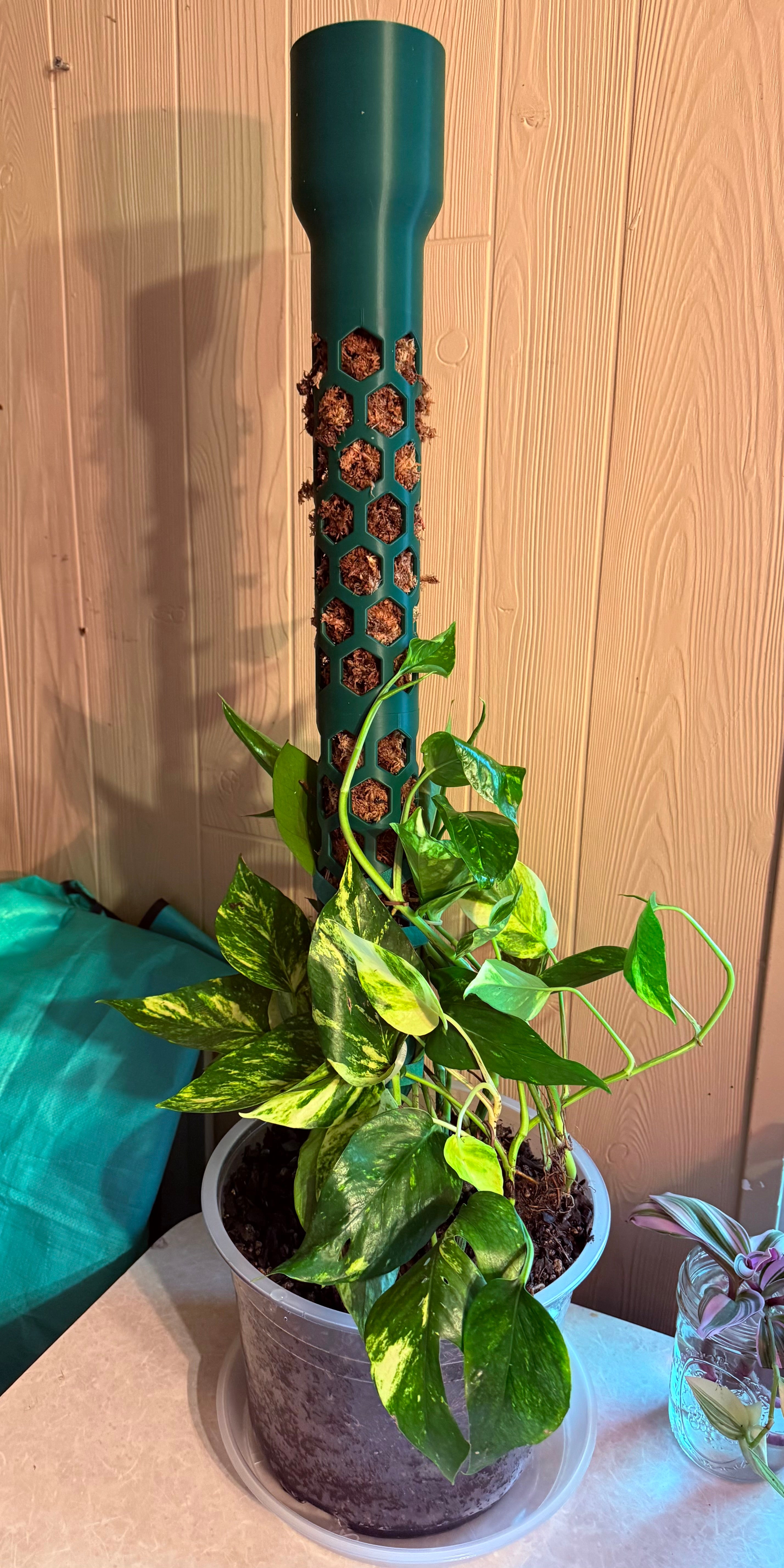 Modular Moss Pole System 2 Inch PETG Self Watering Monstera Plant Trellis