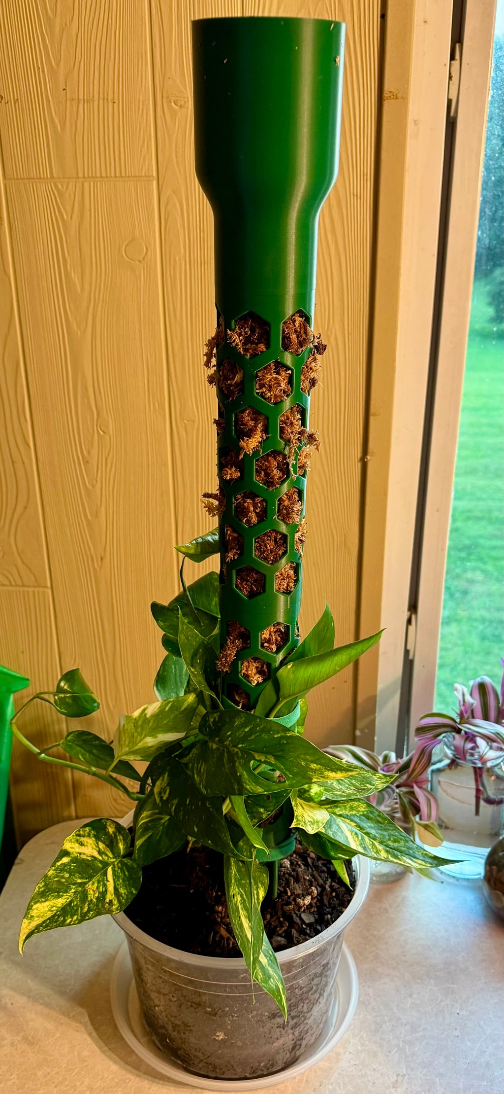 Modular Moss Pole System 2 Inch PETG Self Watering Monstera Plant Trellis