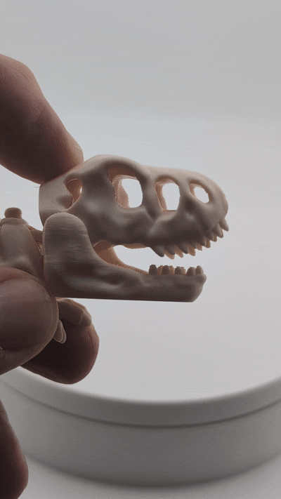 Flexi Skeleton T-Rex – 3D Printed PLA Toy