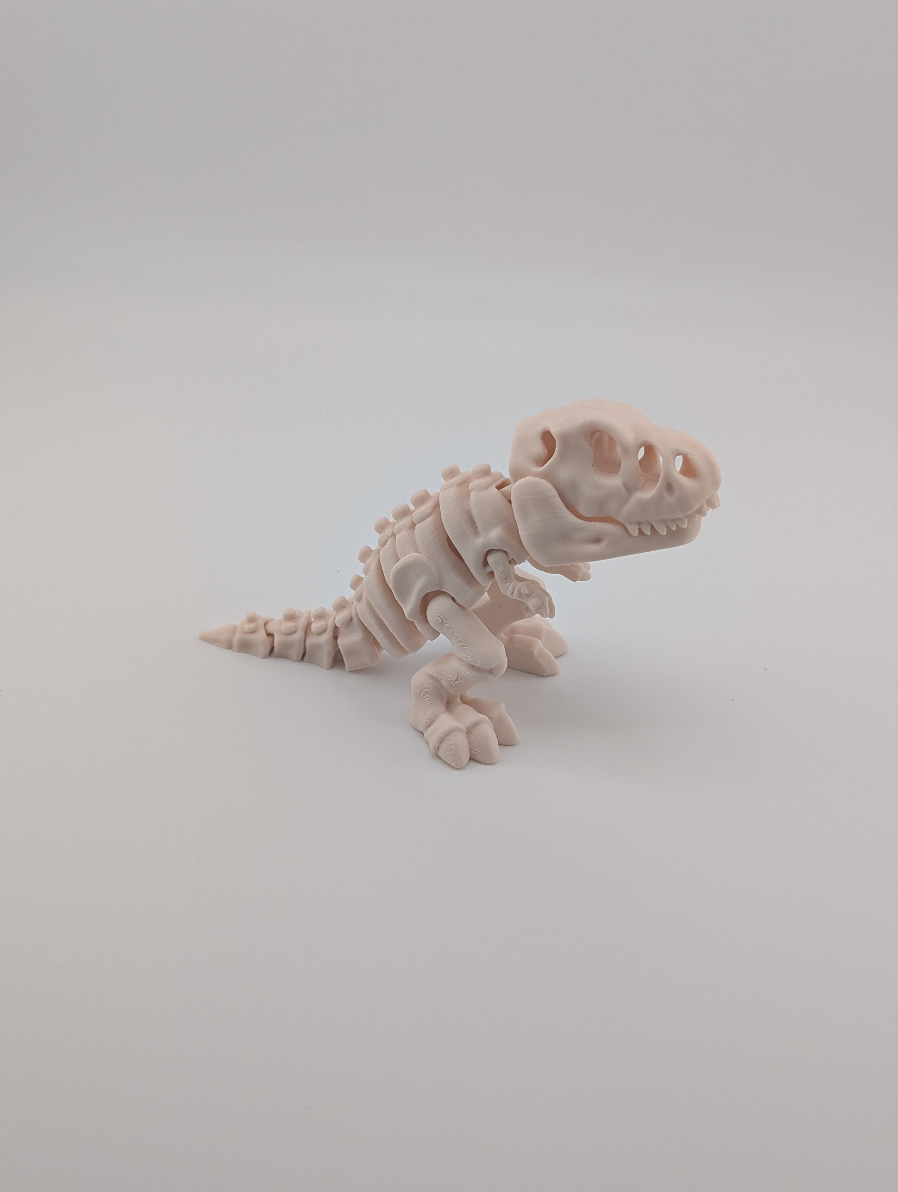 Flexi Skeleton T-Rex – 3D Printed PLA Toy