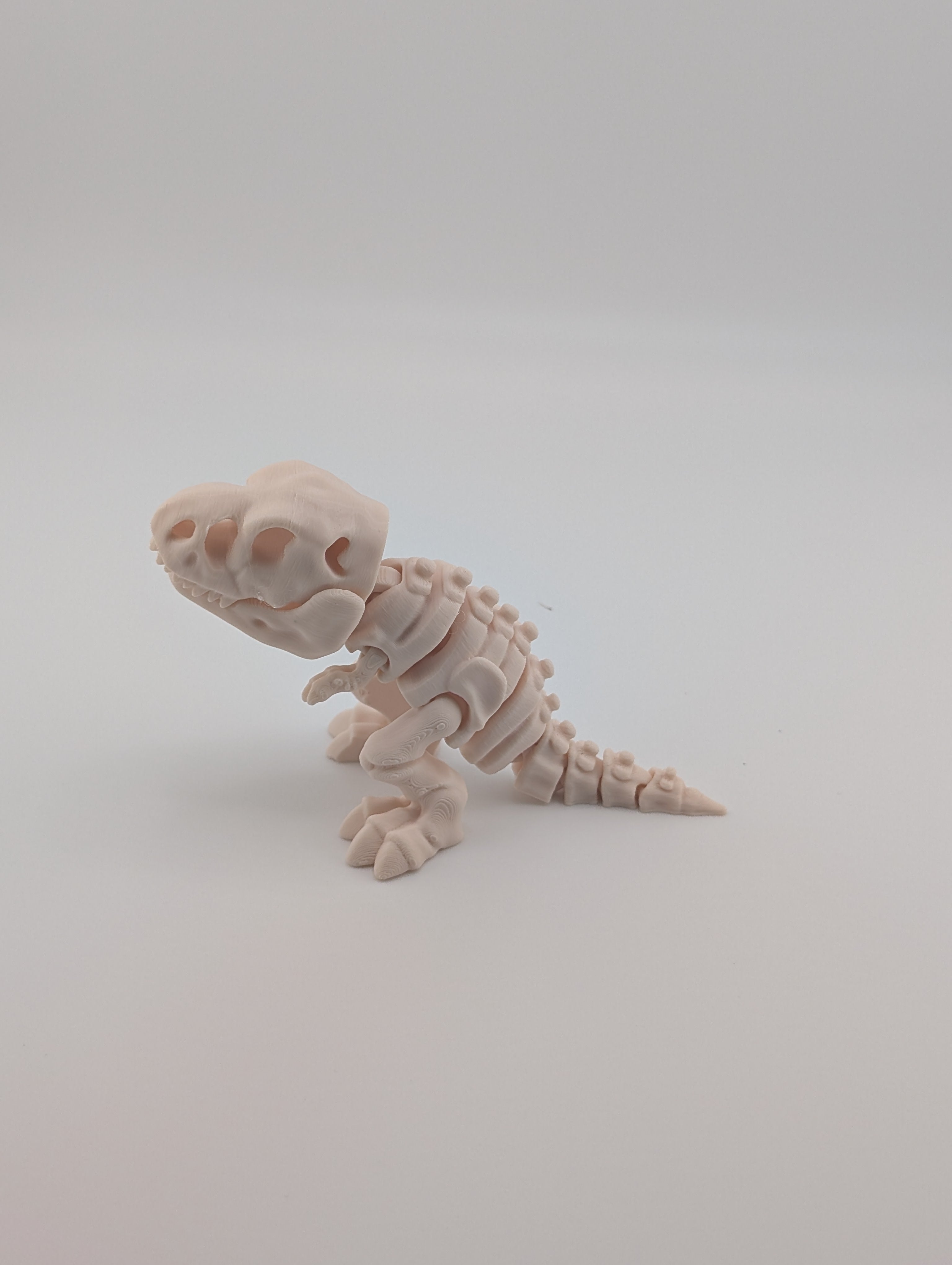 Flexi Skeleton T-Rex – 3D Printed PLA Toy