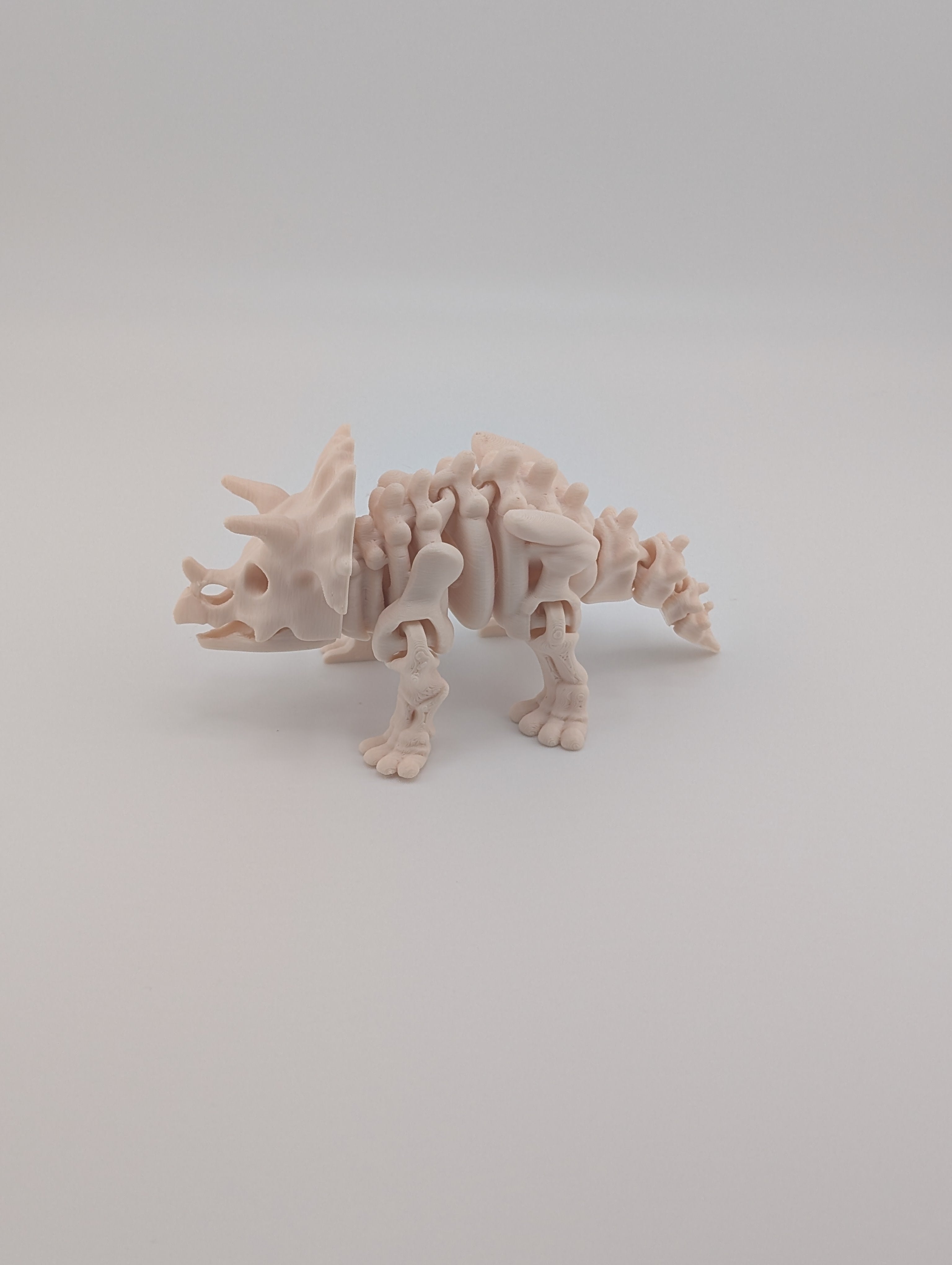 Flexi Skeleton Triceratops – 3D Printed PLA Toy