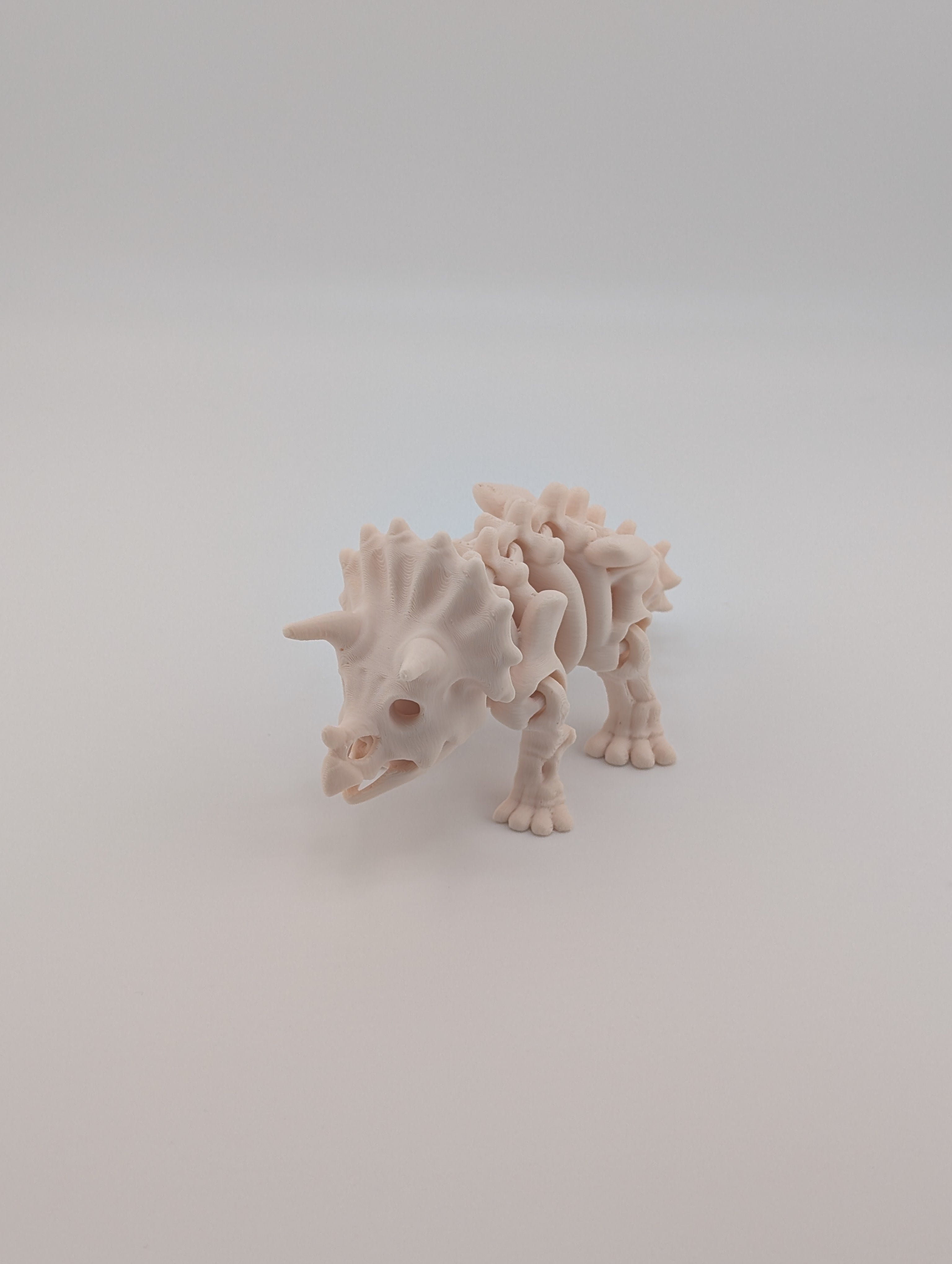 Flexi Skeleton Triceratops – 3D Printed PLA Toy