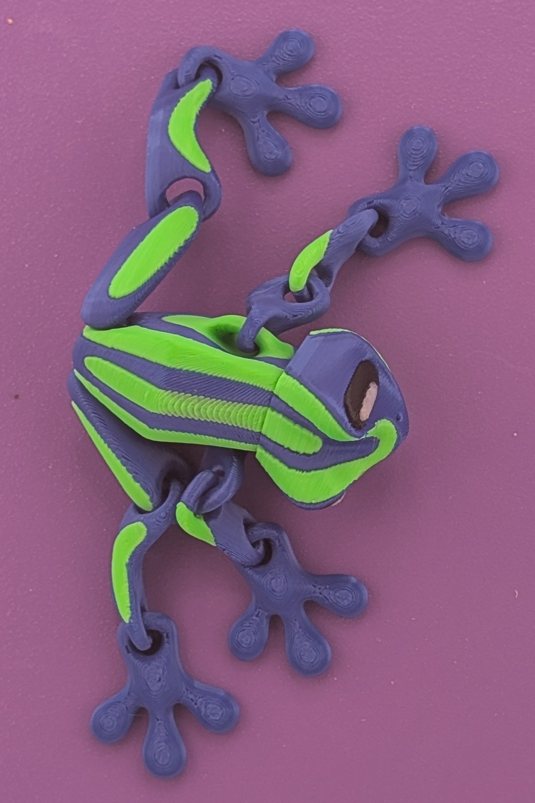 Magnetic Fidget Frog – Stick, Flip, Fidget Fun!