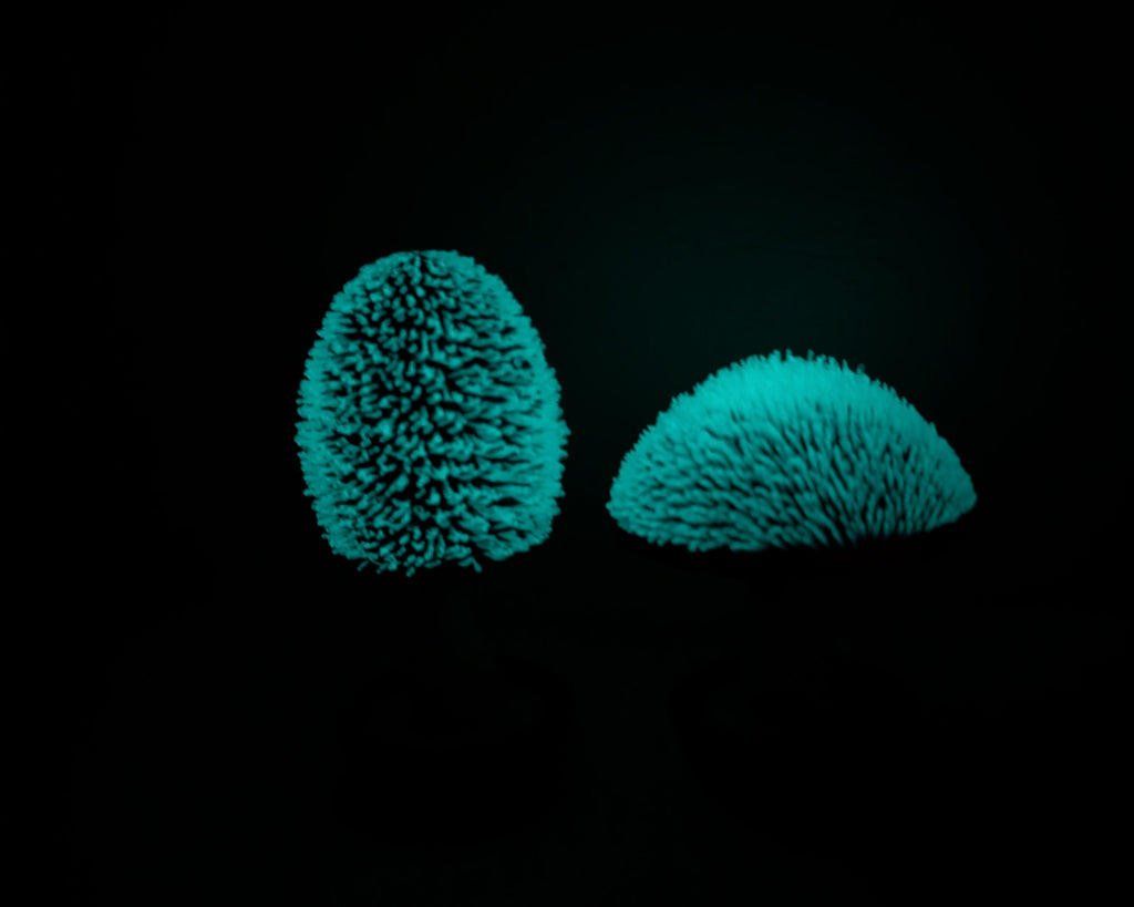 Whimsical UV-Reactive Mushroom Decor – PLA 3D Printed Fidget Toy (Set of 2)