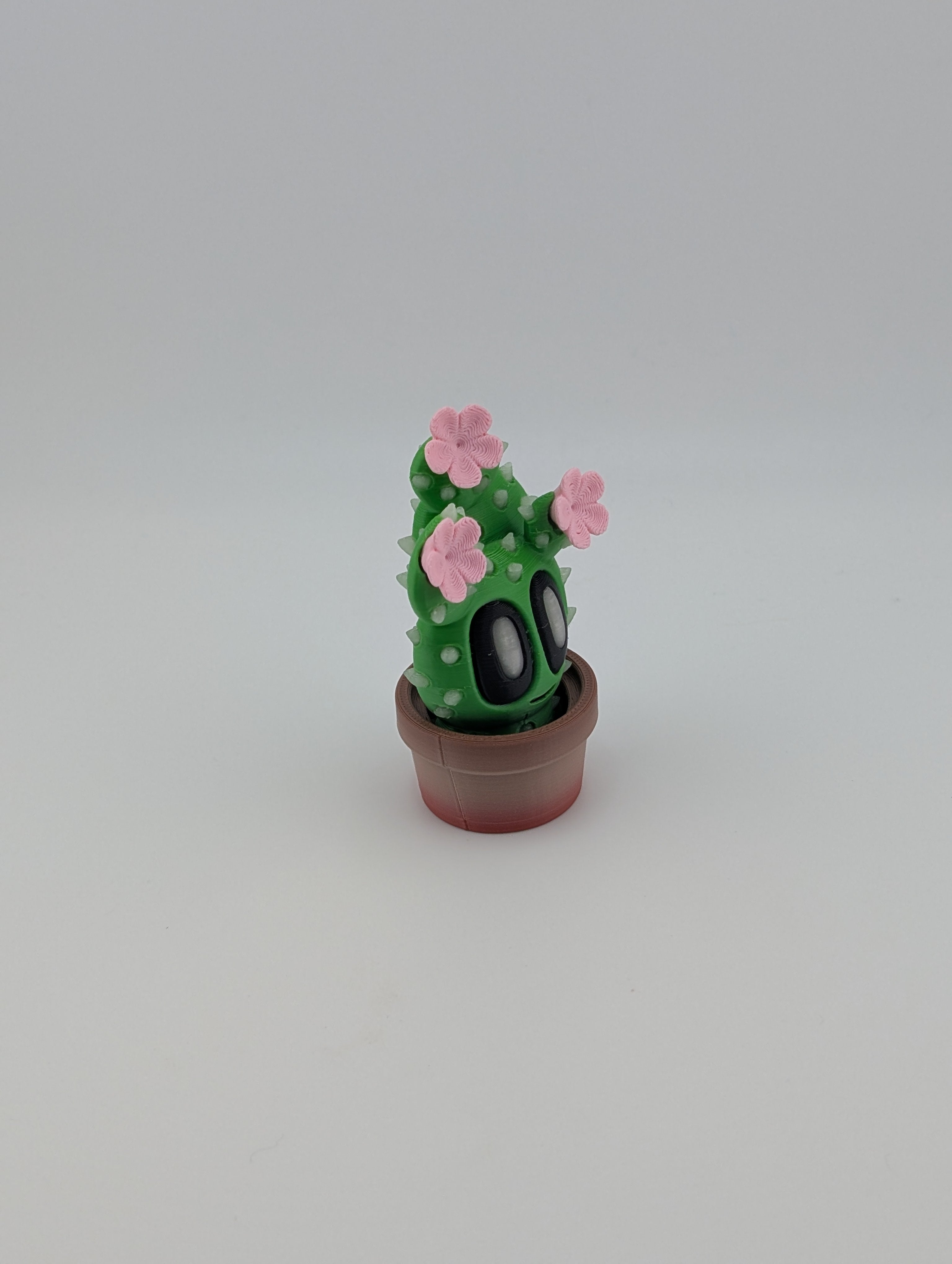 Bloblab Flower Cactus – Blooming Glow-in-the-Dark Delight