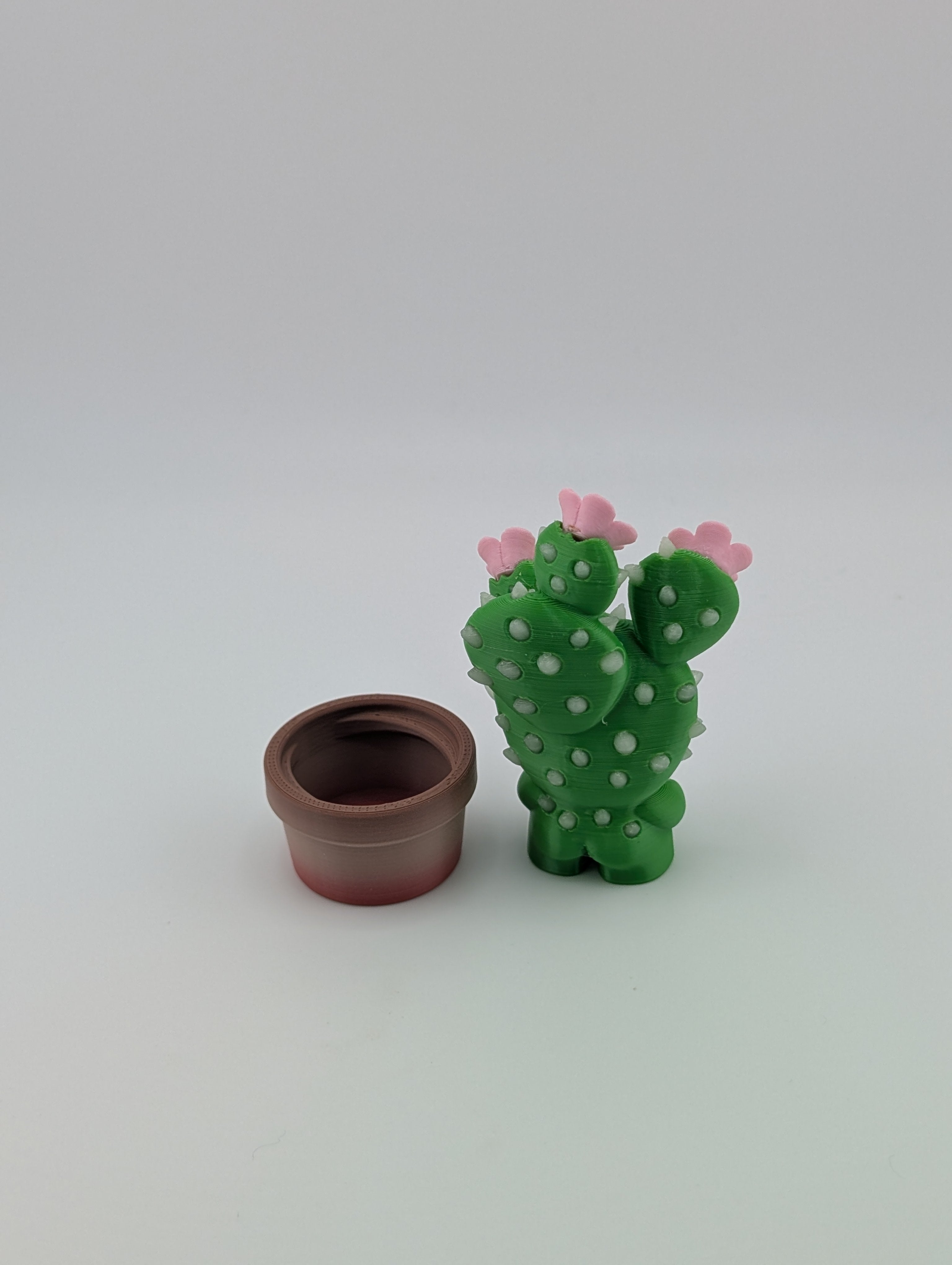 Bloblab Flower Cactus – Blooming Glow-in-the-Dark Delight