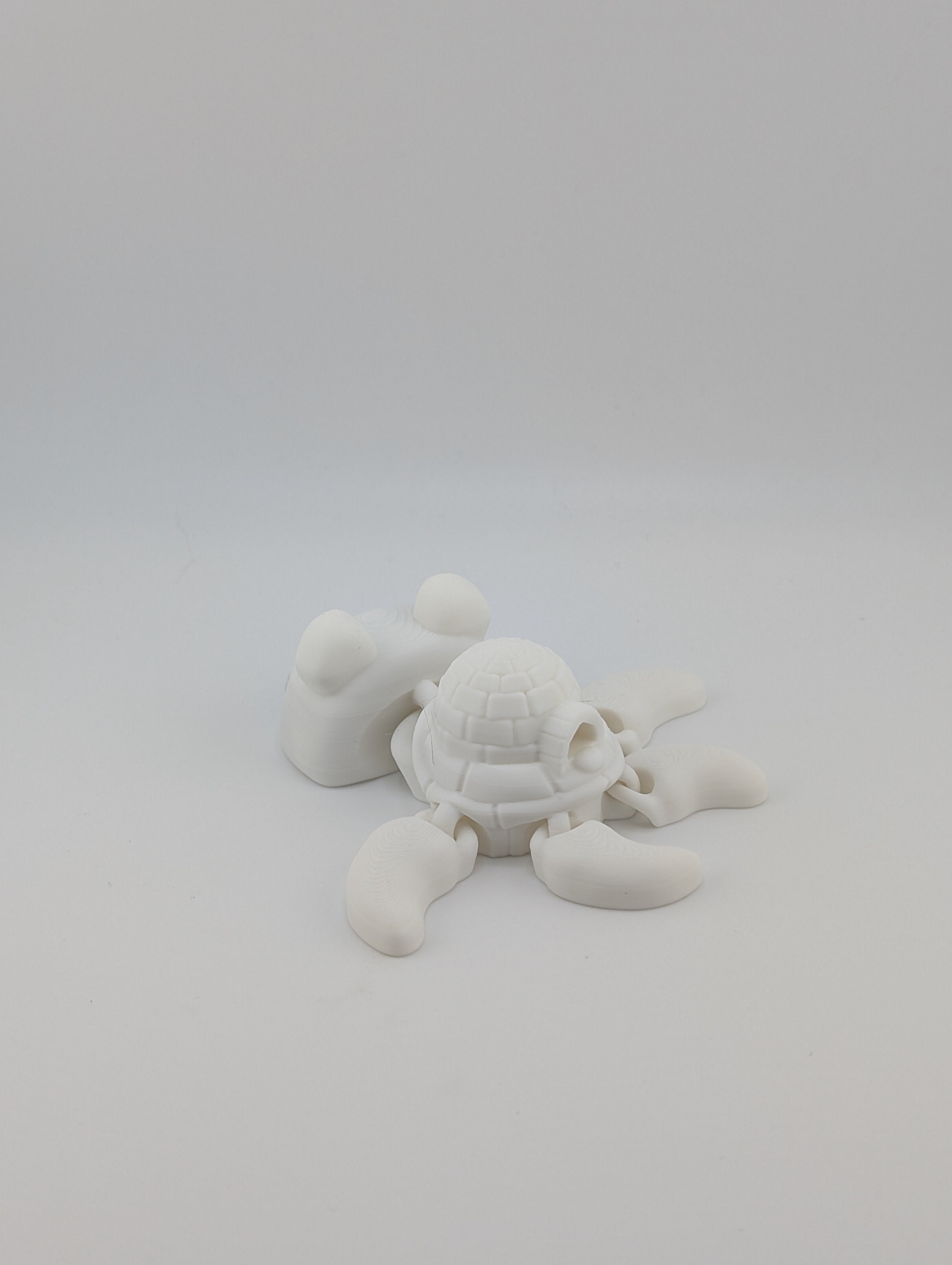 Polar Bear Turtle Flexi – Arctic Edition