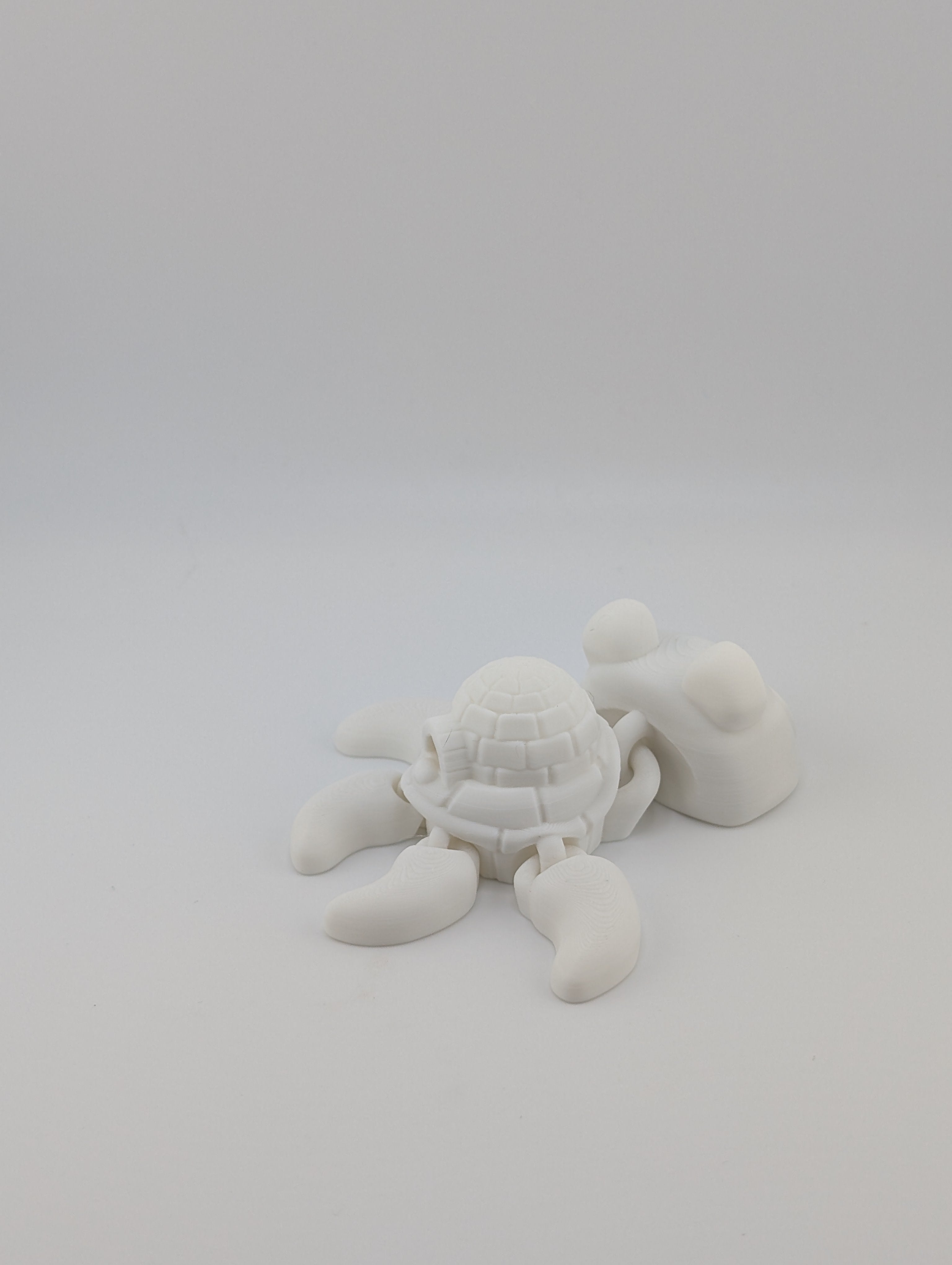 Polar Bear Turtle Flexi – Arctic Edition