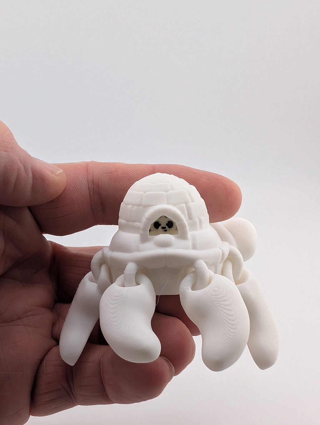 Polar Bear Turtle Flexi – Arctic Edition