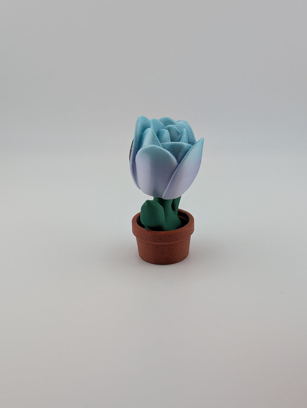 Blob Lab Flowers – Collect All 5 Blooms!