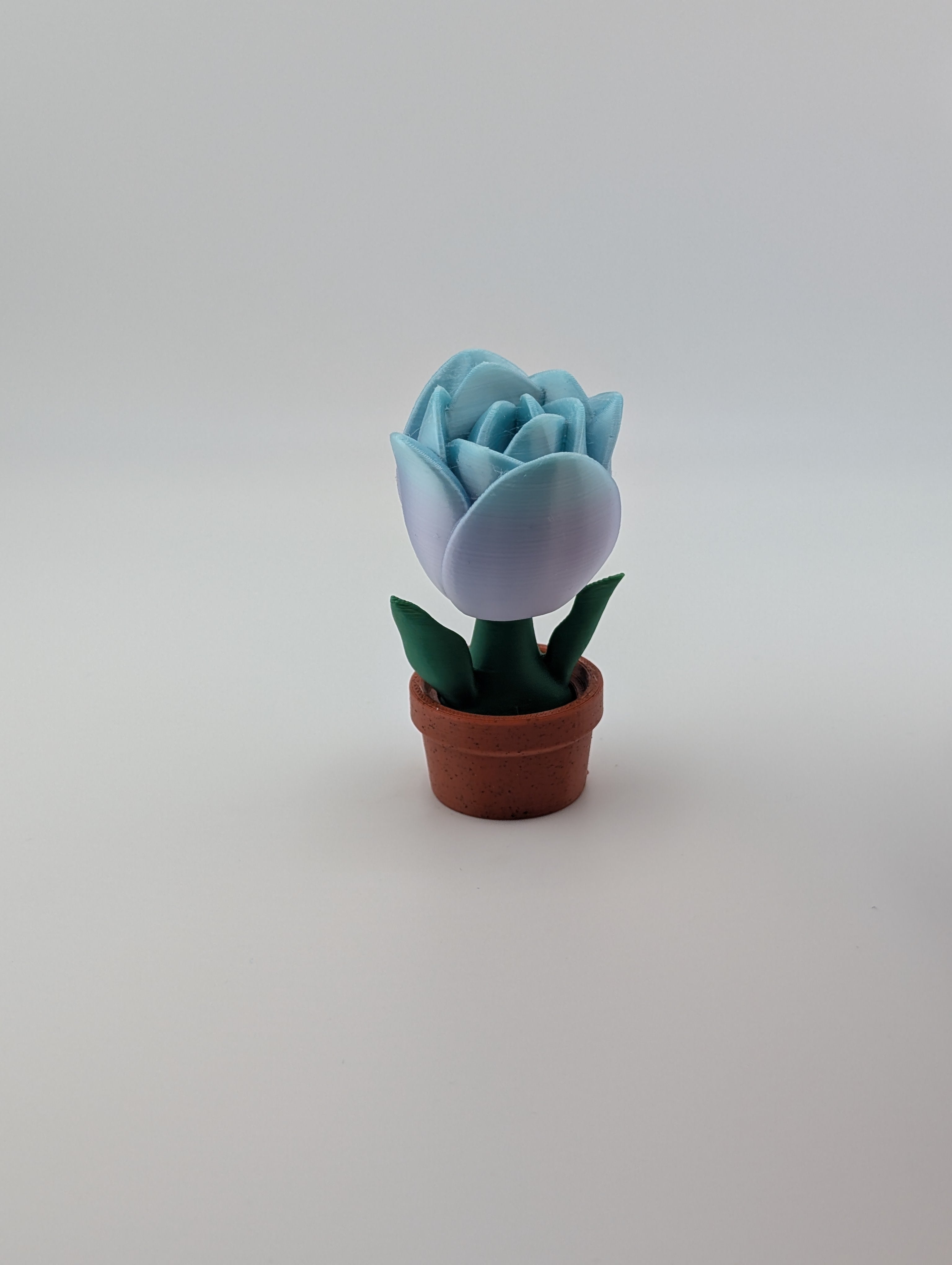 Blob Lab Flowers – Collect All 5 Blooms!