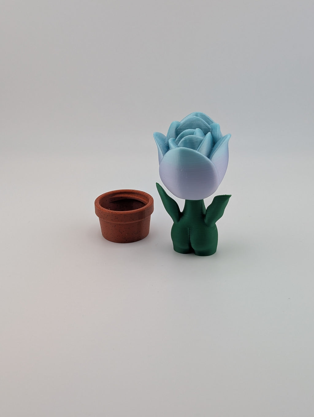 Blob Lab Flowers – Collect All 5 Blooms!