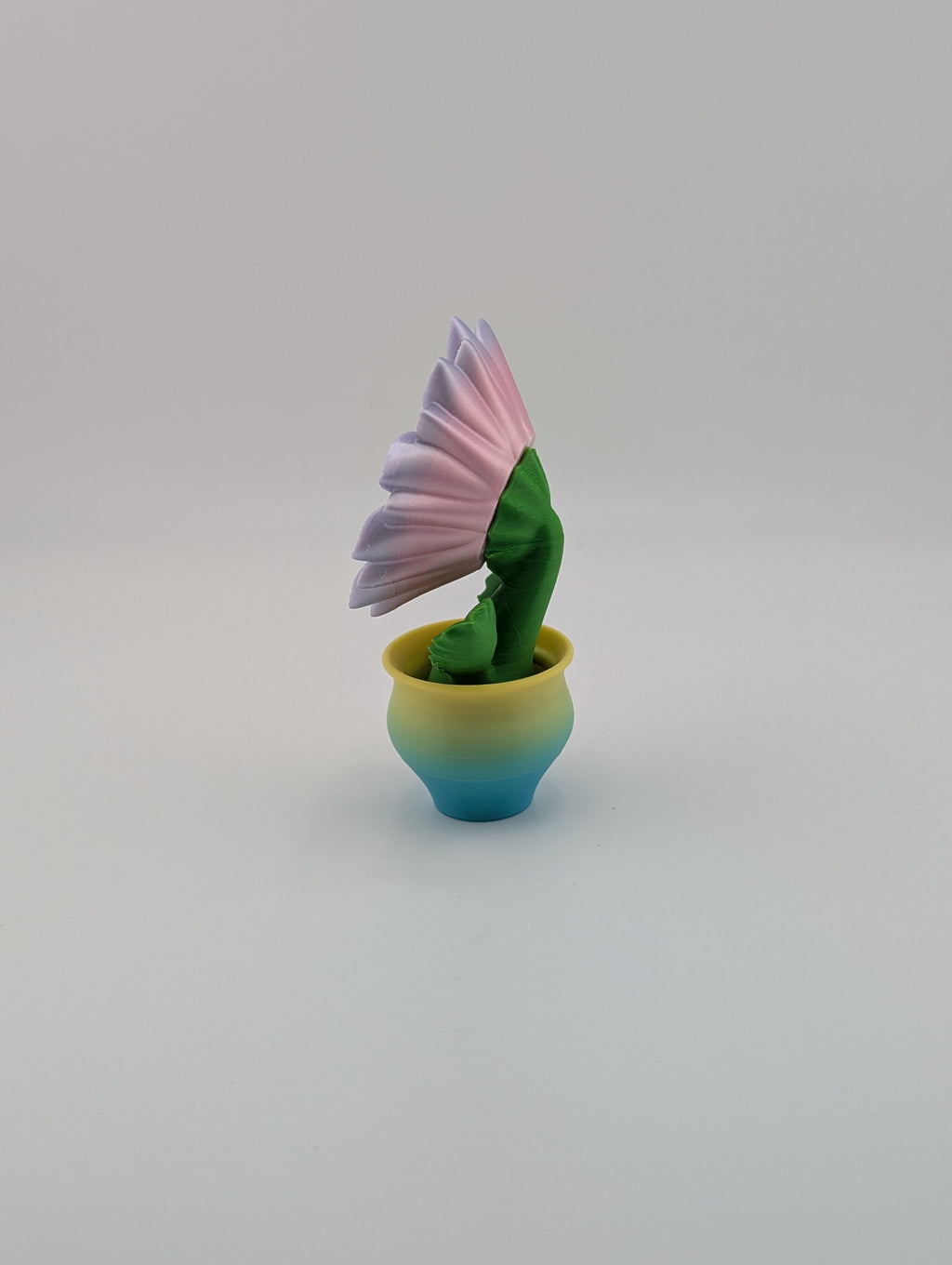 Blob Lab Flowers – Collect All 5 Blooms!