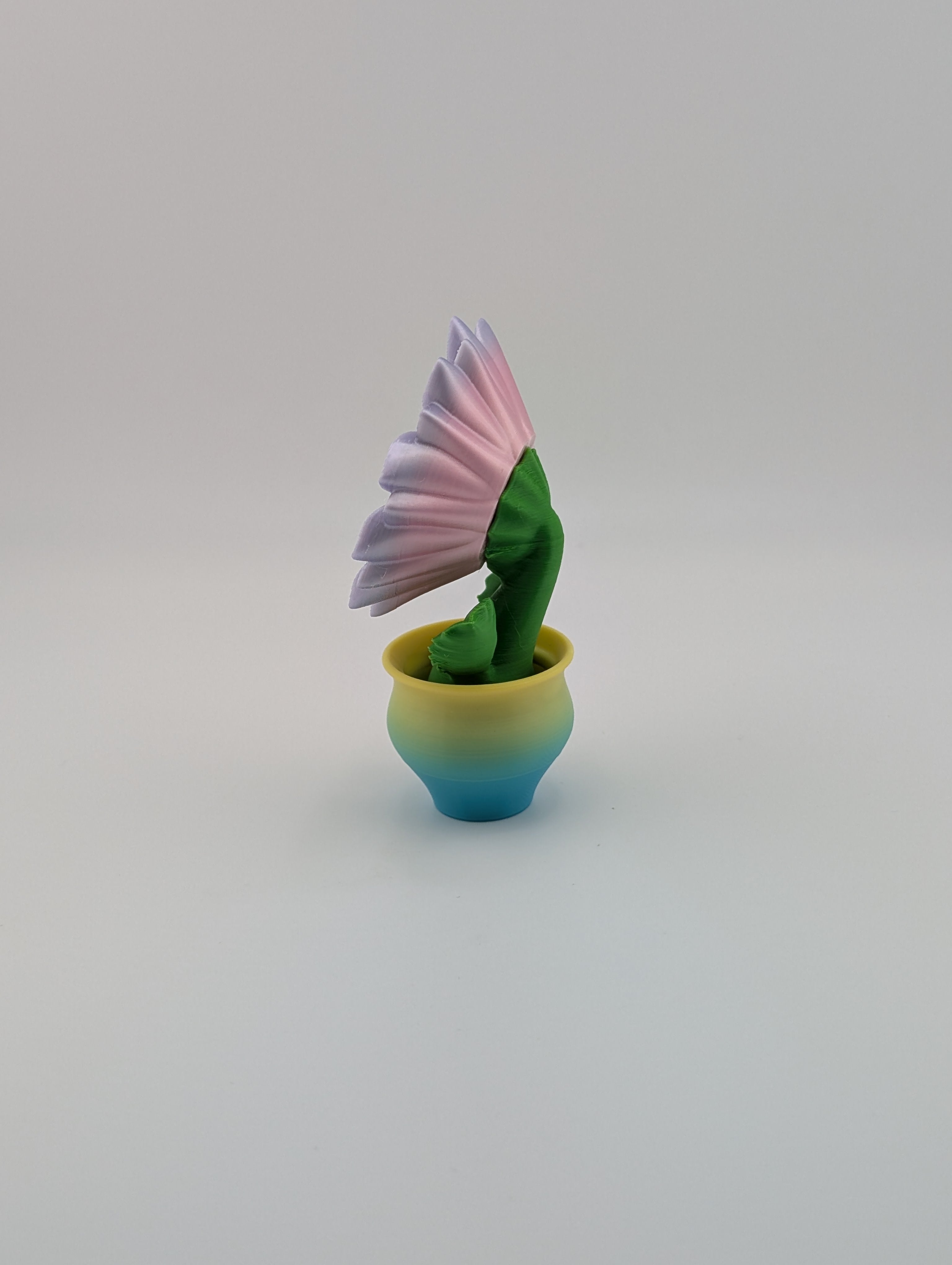 Blob Lab Flowers – Collect All 5 Blooms!