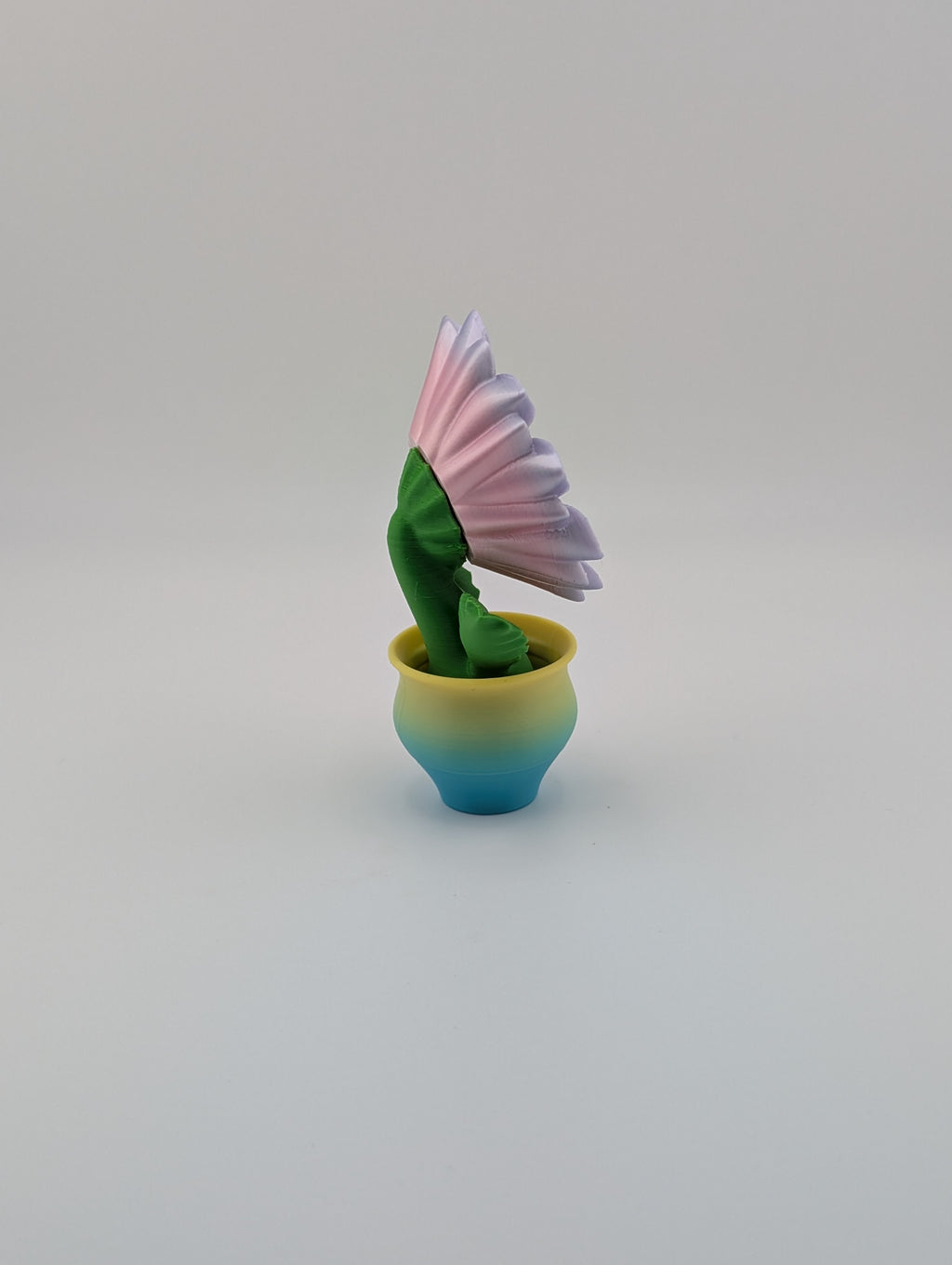 Blob Lab Flowers – Collect All 5 Blooms!