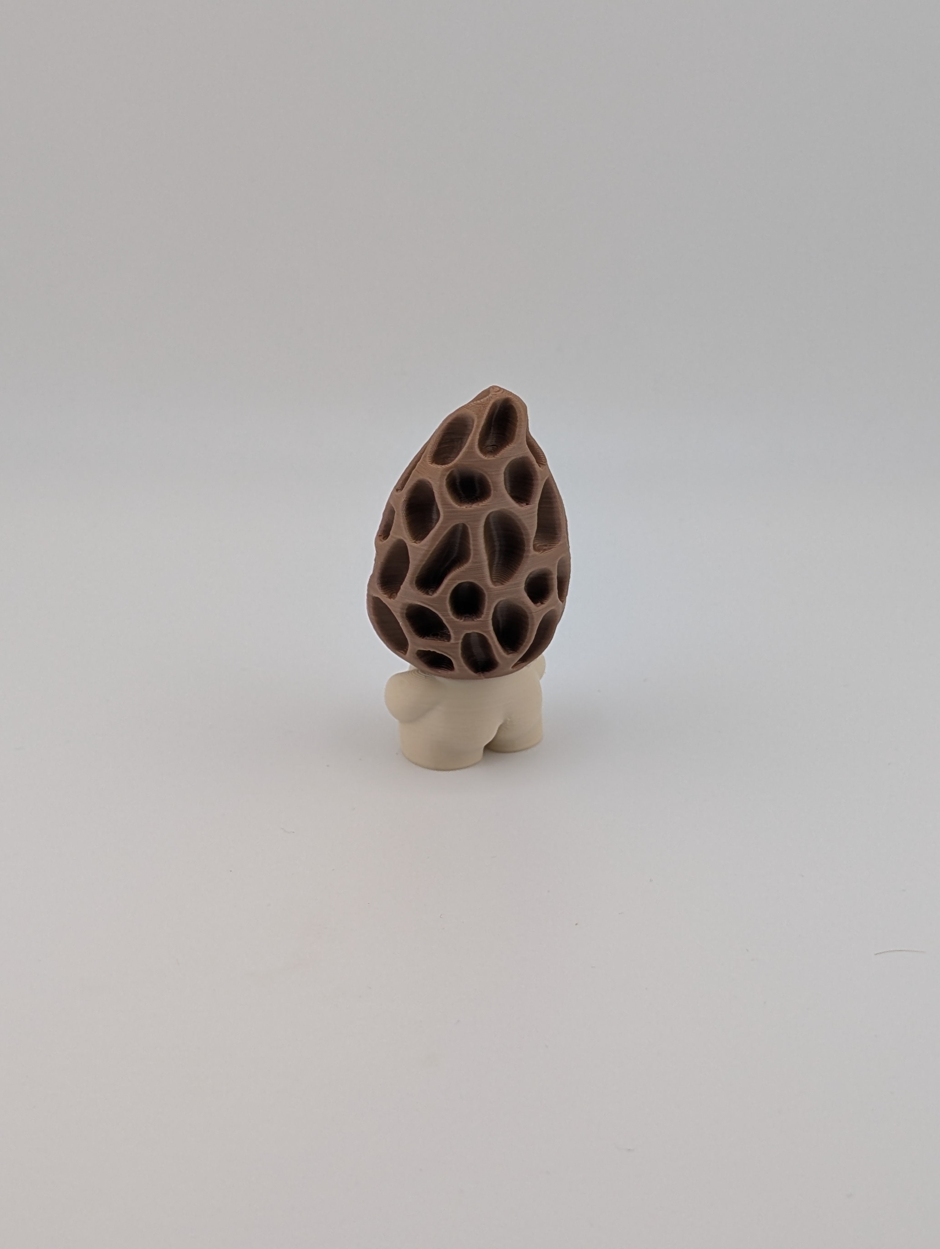 Bloblab Mushroom Series – Morelkin (Tan & Brown PLA)
