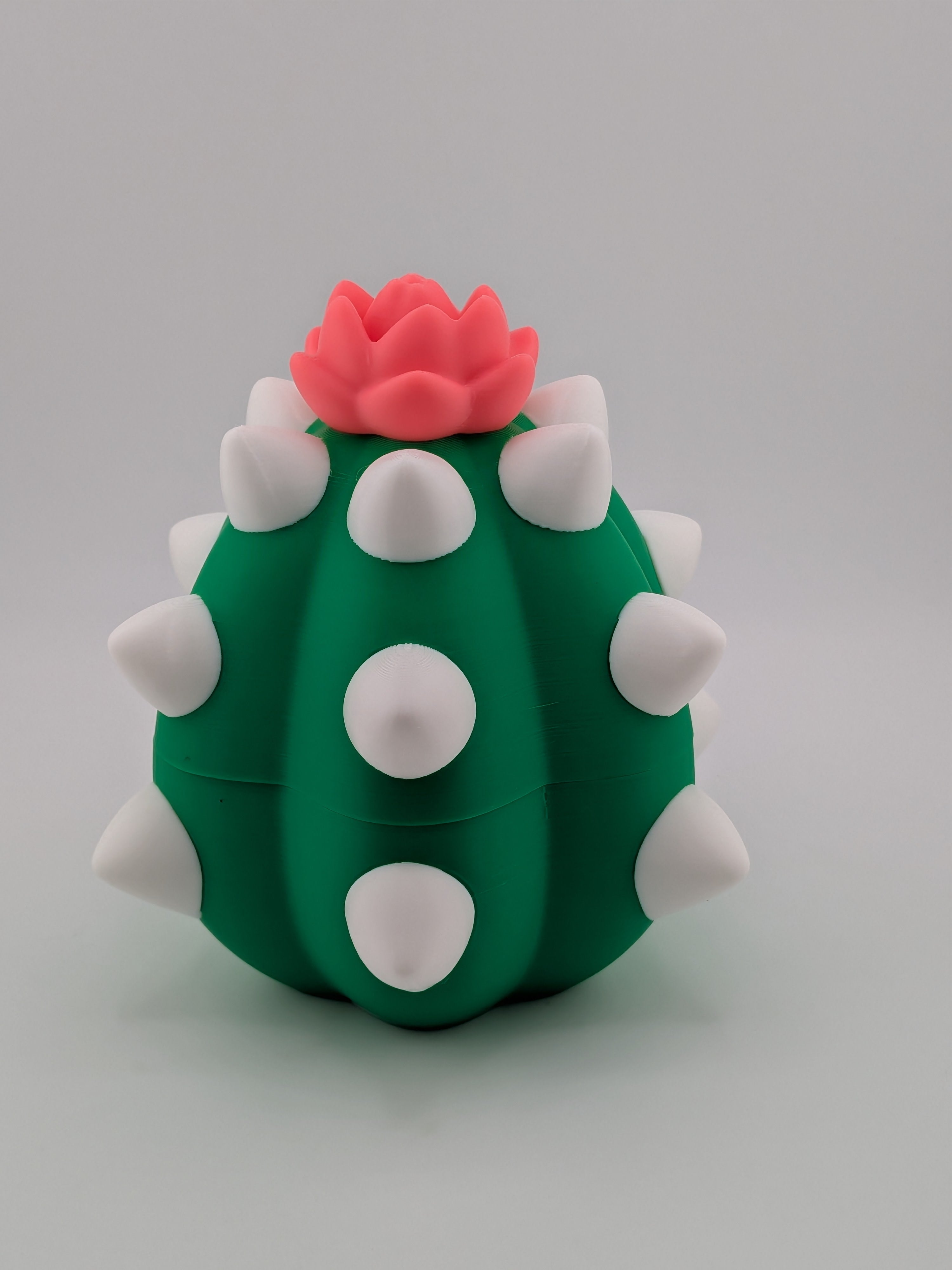 🌵🐉 Mini Cactus Flexi Dragon & Egg! 🥚 Desert-Core Articulated Fidget Toy ✨🌸