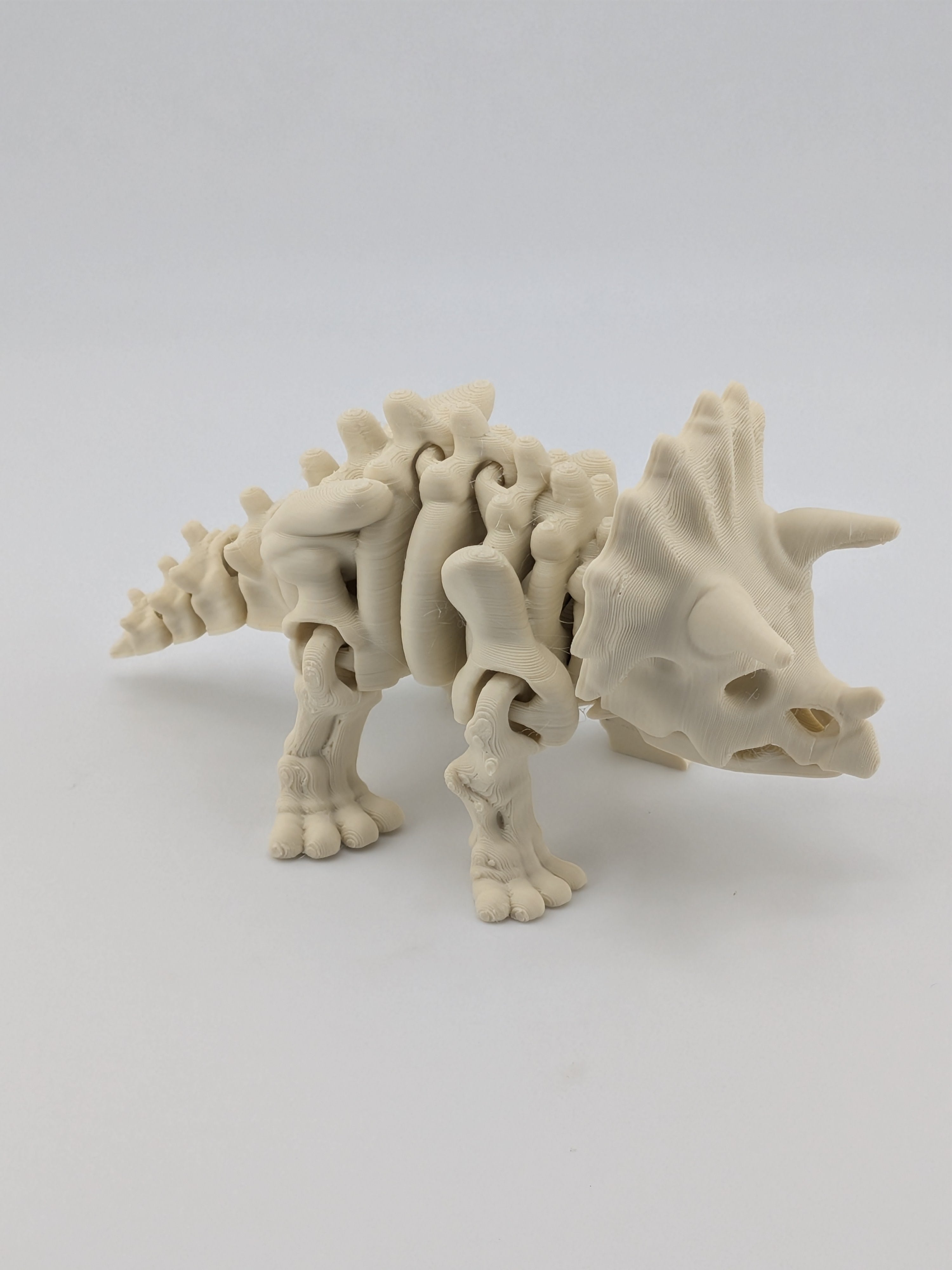 Flexi Skeleton Triceratops – 3D Printed PLA Toy