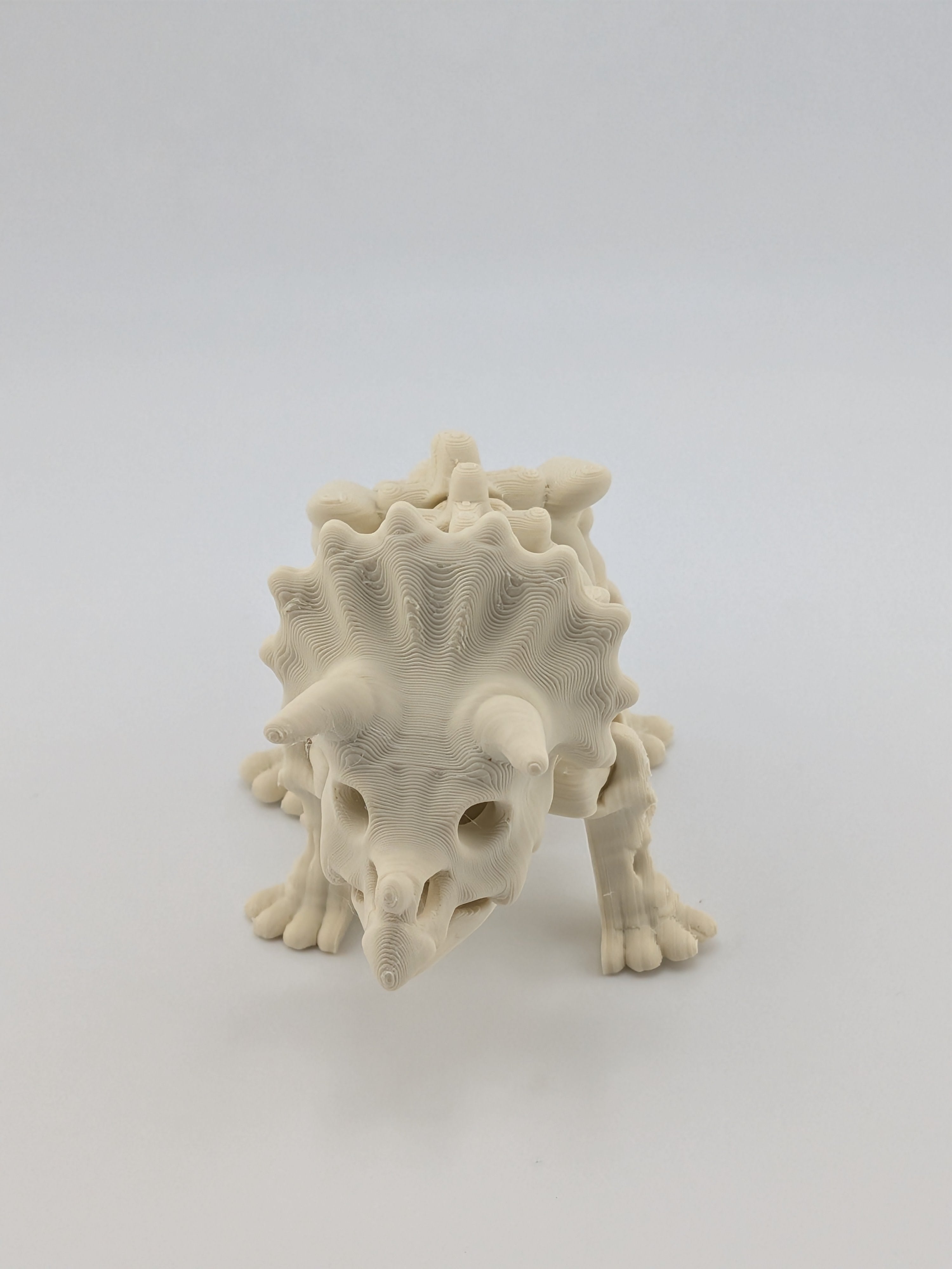 Flexi Skeleton Triceratops – 3D Printed PLA Toy