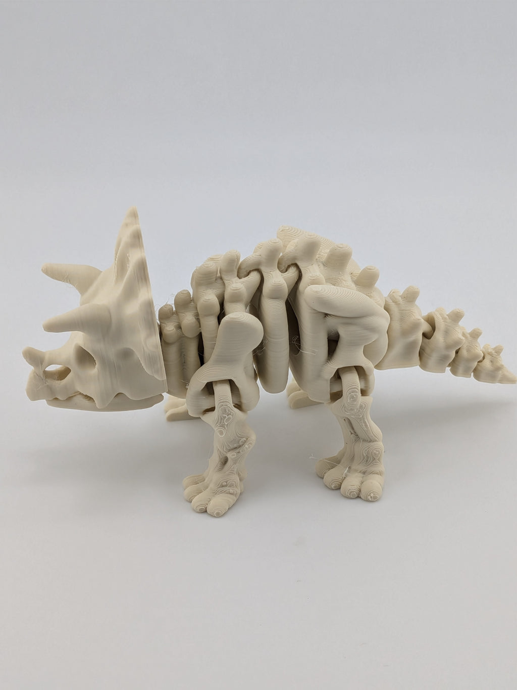 Flexi Skeleton Triceratops – 3D Printed PLA Toy