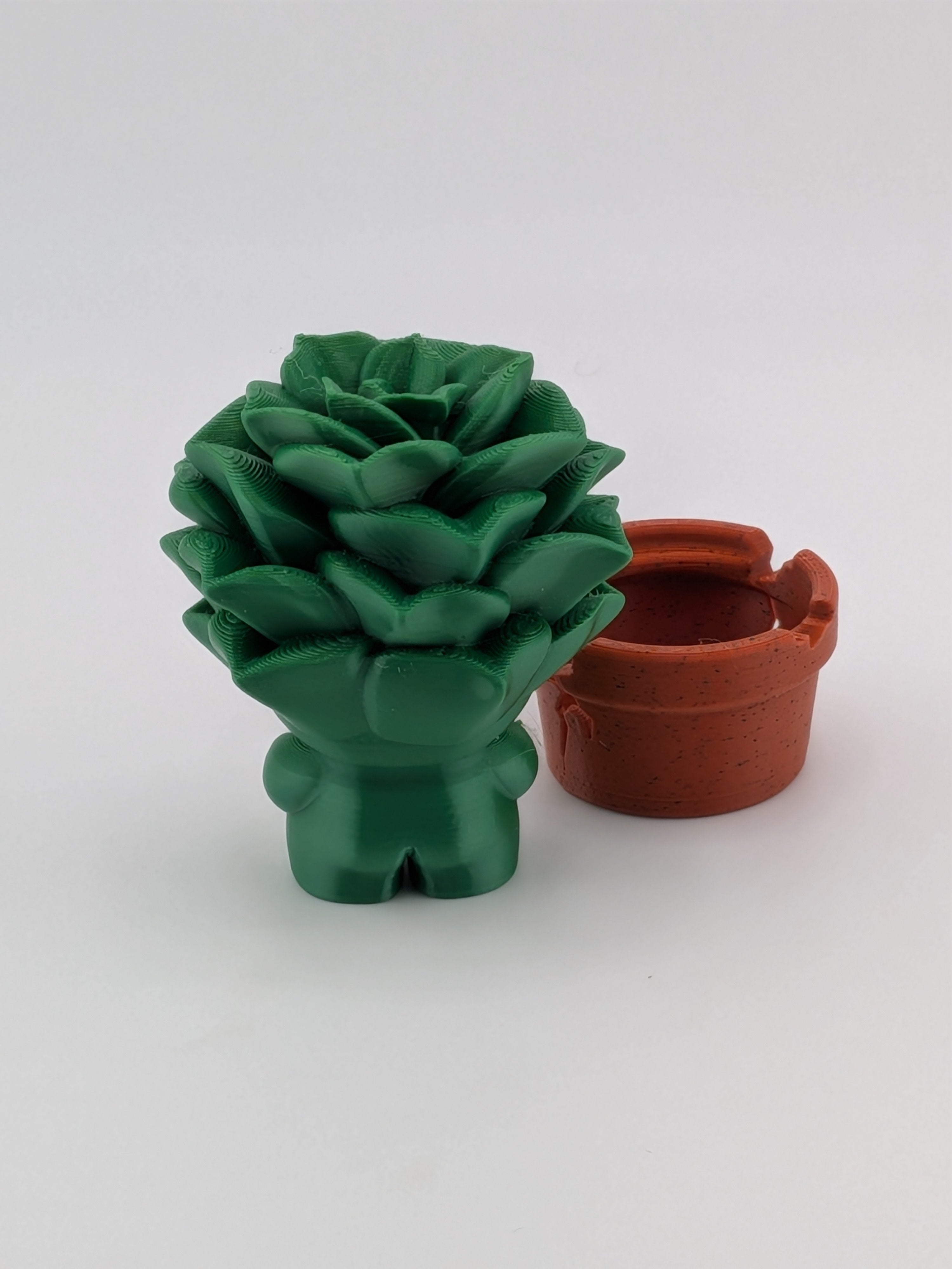 🌵✨ Succulent Plant Blob! 🪴 3" Articulated Rosette Fidget & Cracked Pot Set 💎🏜️