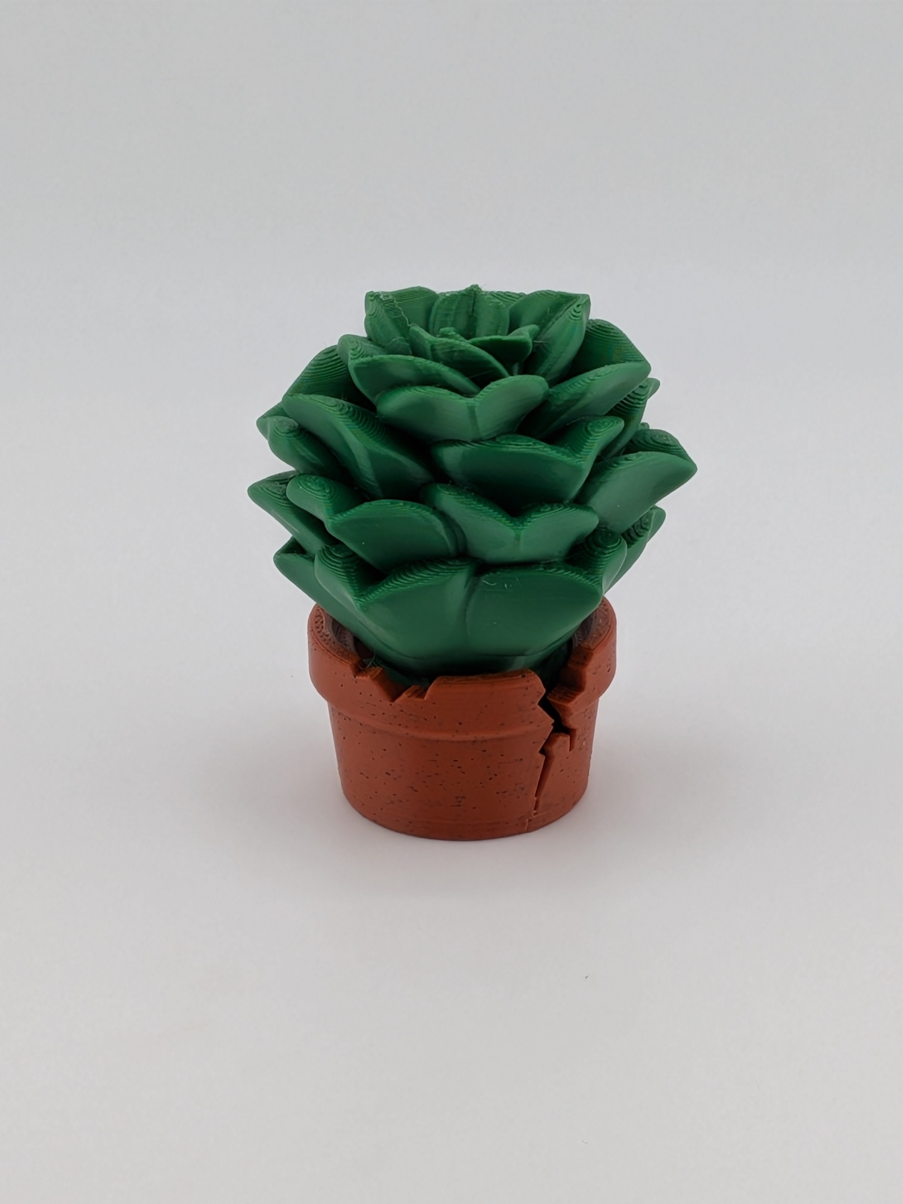 🌵✨ Succulent Plant Blob! 🪴 3" Articulated Rosette Fidget & Cracked Pot Set 💎🏜️