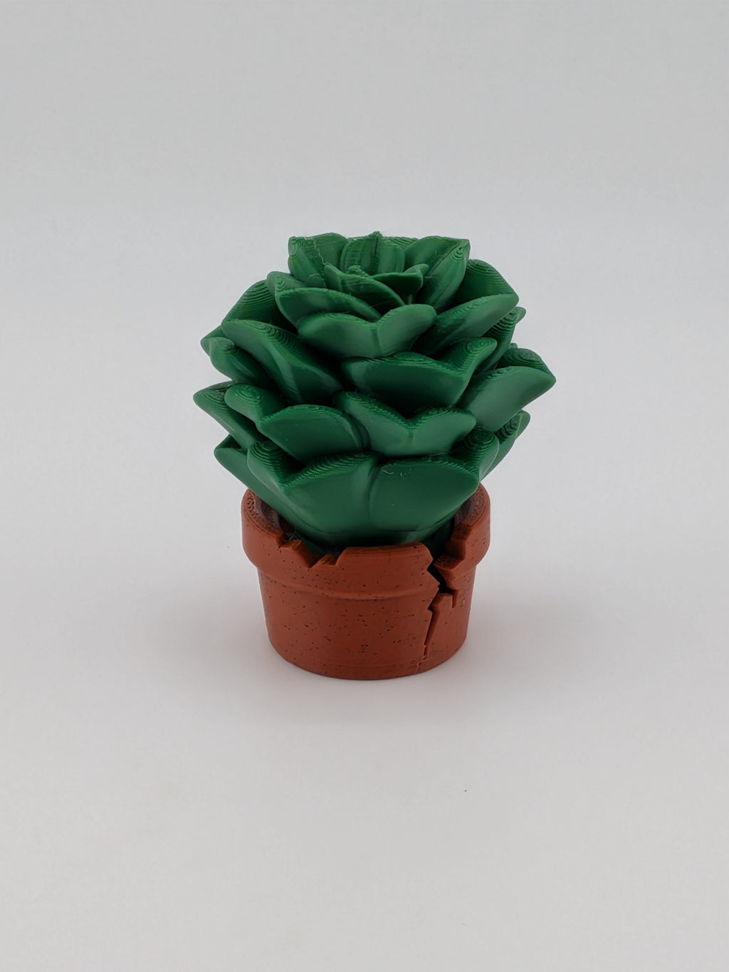 🌵✨ Succulent Plant Blob! 🪴 3" Articulated Rosette Fidget & Cracked Pot Set 💎🏜️