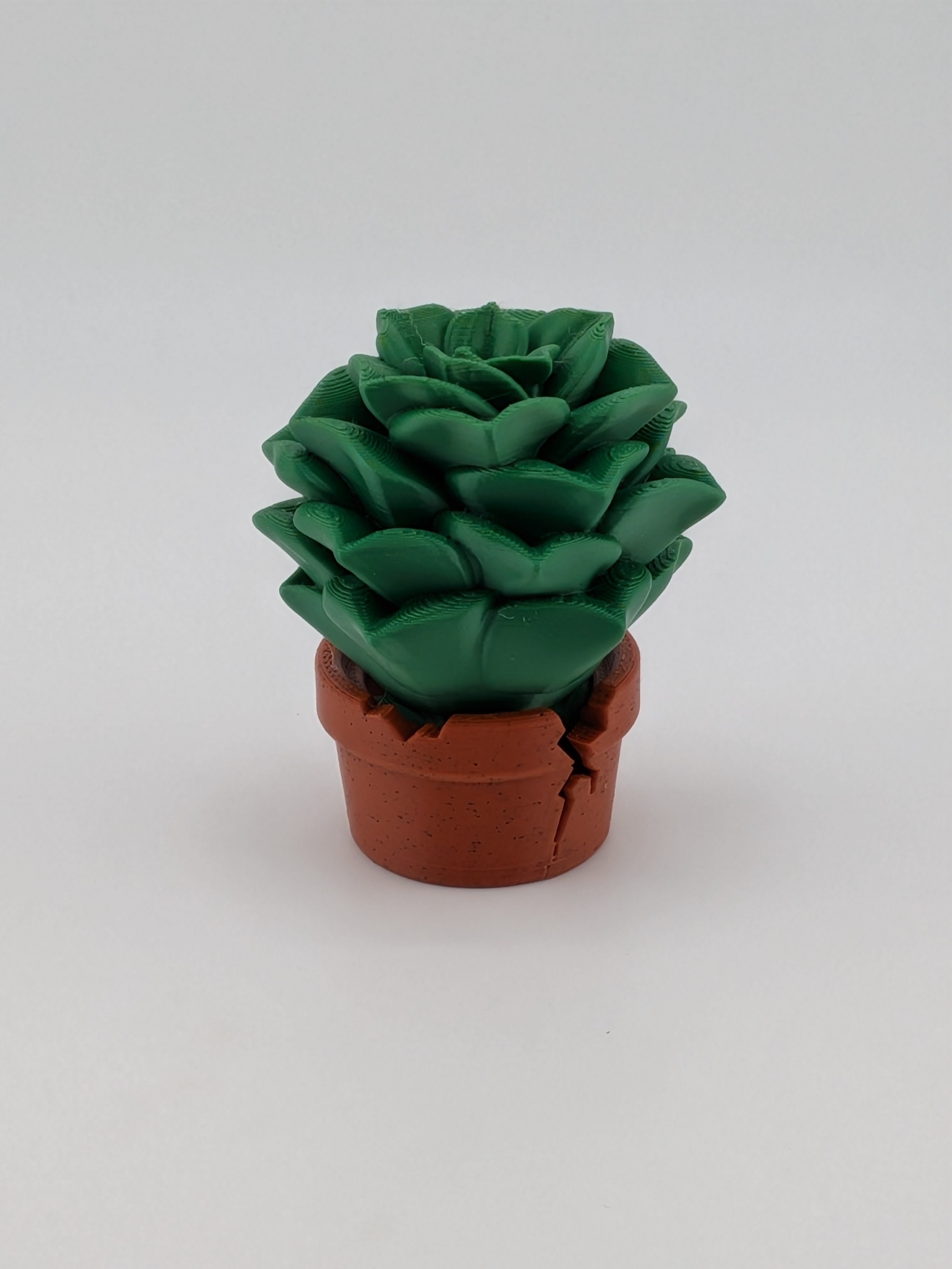 🌵✨ Succulent Plant Blob! 🪴 3" Articulated Rosette Fidget & Cracked Pot Set 💎🏜️