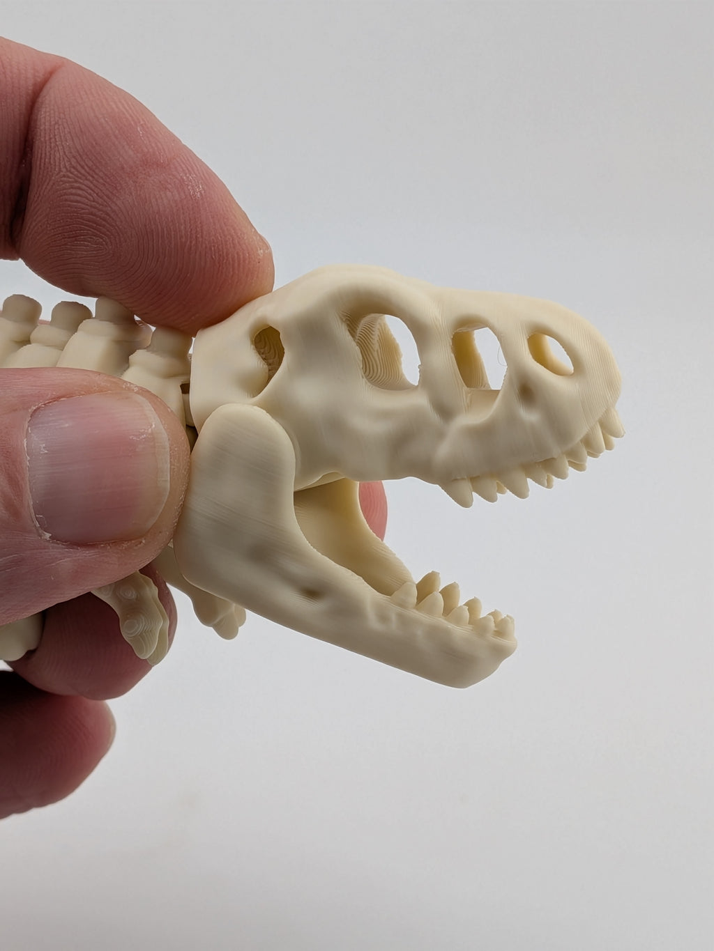 🦖🦴 4" Skeleton T-Rex Flexi ✨ Articulated Fossil Fidget & Dino Desk Pet 🦴🌋