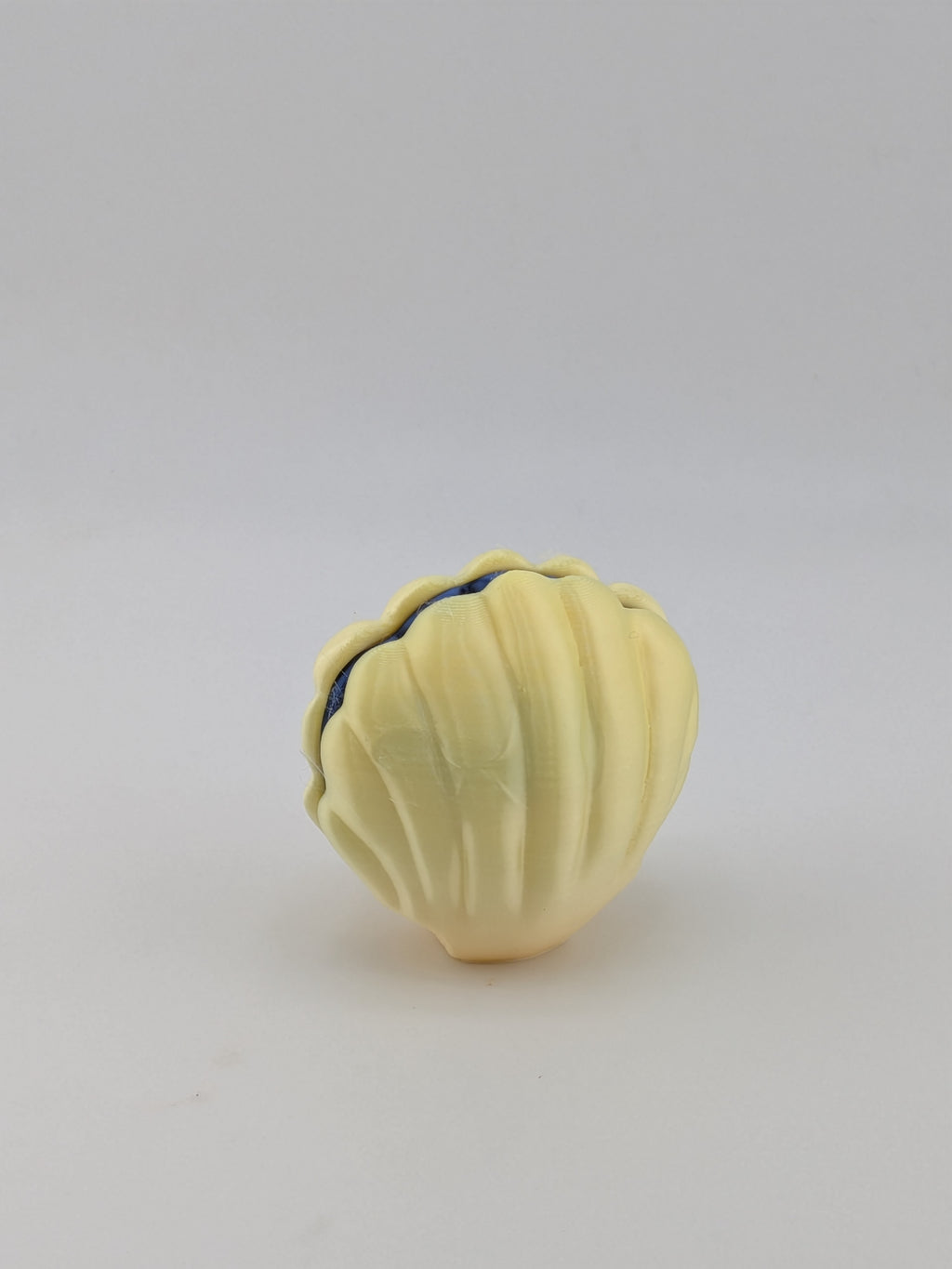 Oyster Clam Fidget Clicker Mechanical Keyboard Switch Tactile Toy