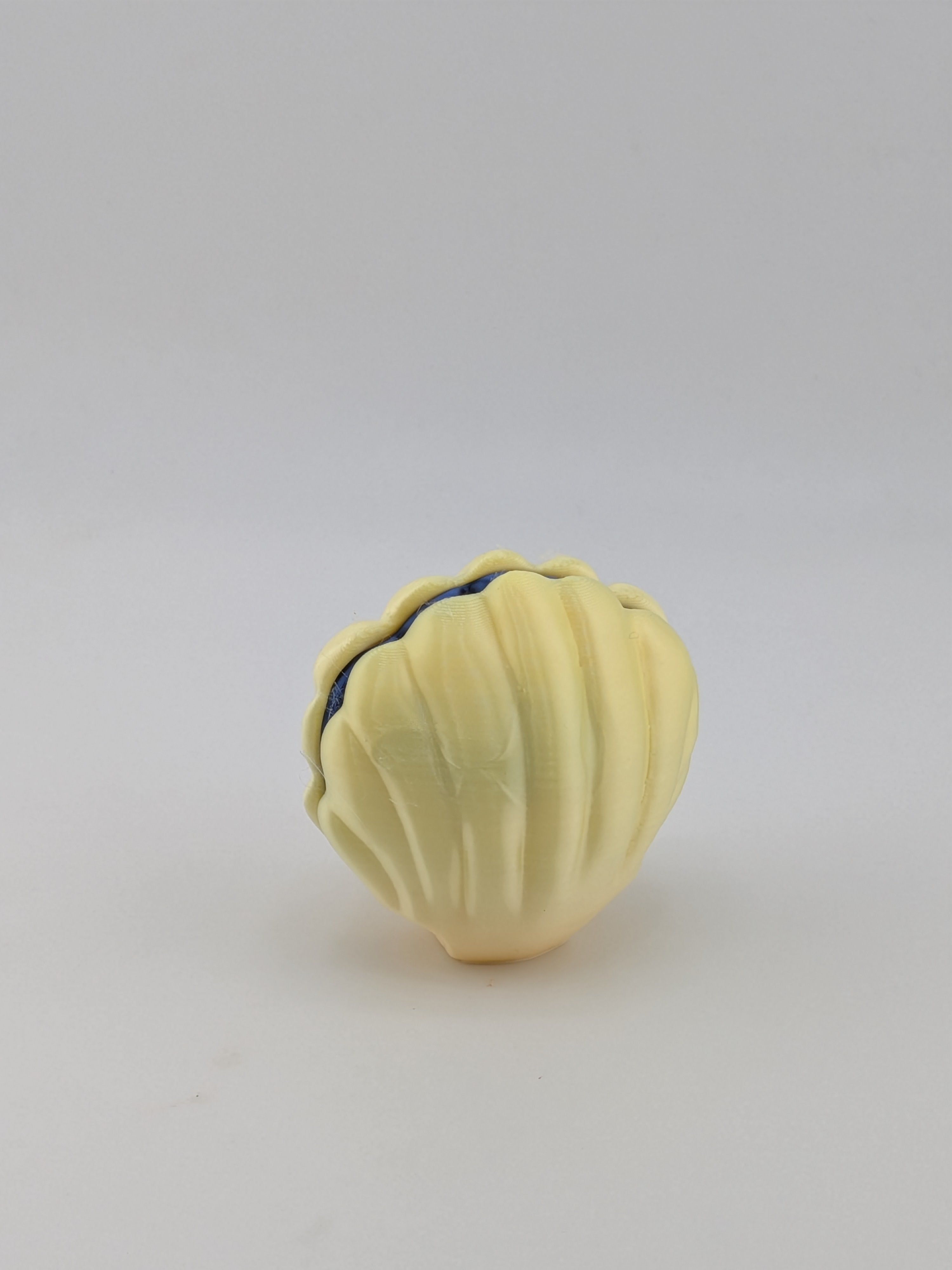 Oyster Clam Fidget Clicker Mechanical Keyboard Switch Tactile Toy