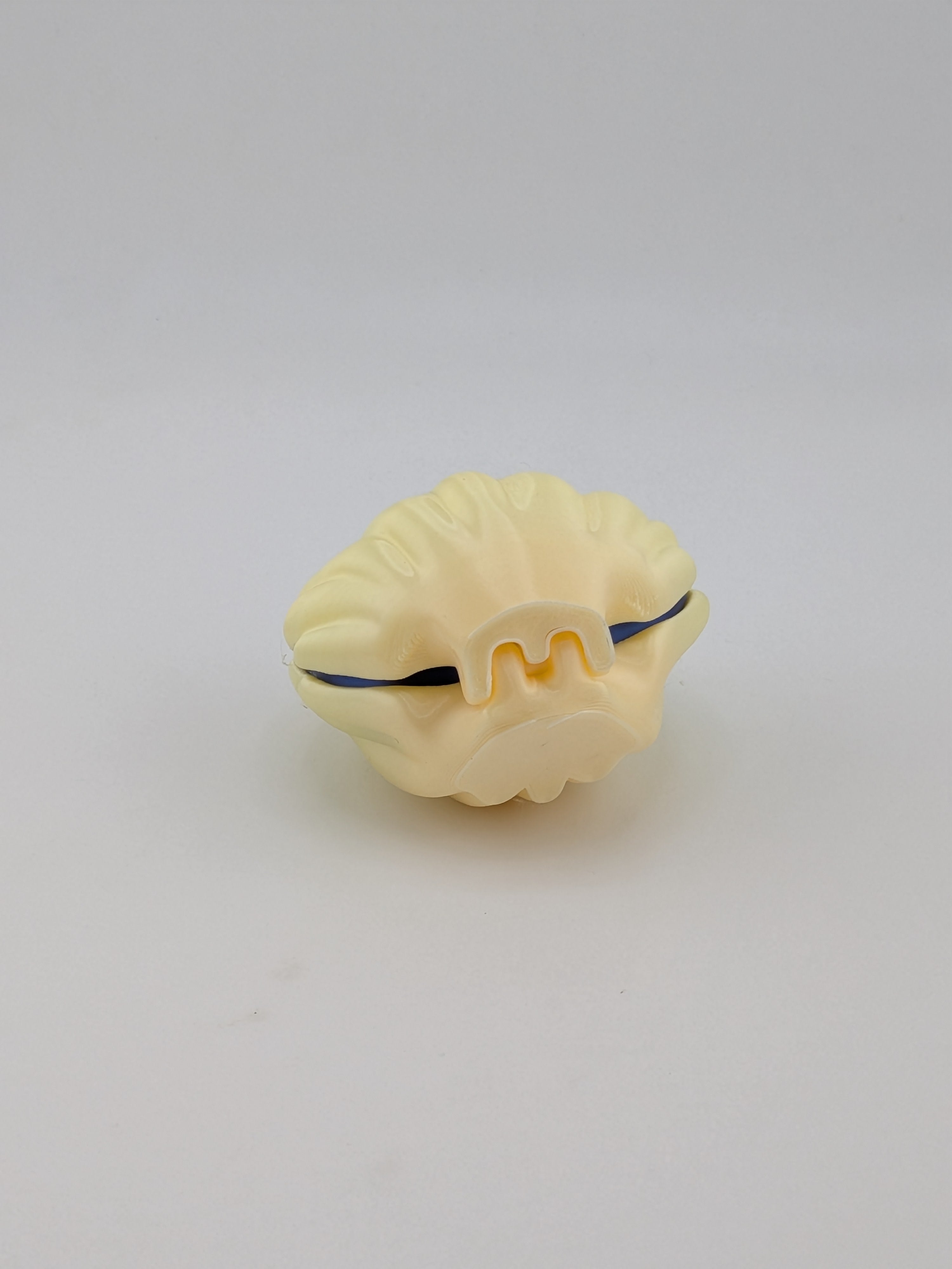 Oyster Clam Fidget Clicker Mechanical Keyboard Switch Tactile Toy
