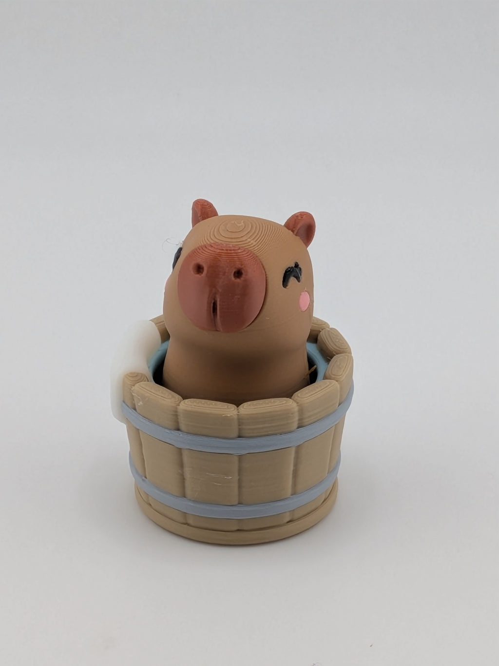 Capybara Hot Springs Fidget Clicker Mechanical Keyboard Switch Desk Toy