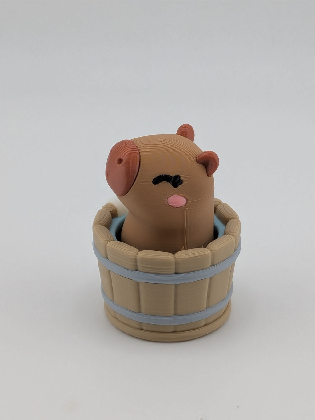 Capybara Hot Springs Fidget Clicker Mechanical Keyboard Switch Desk Toy