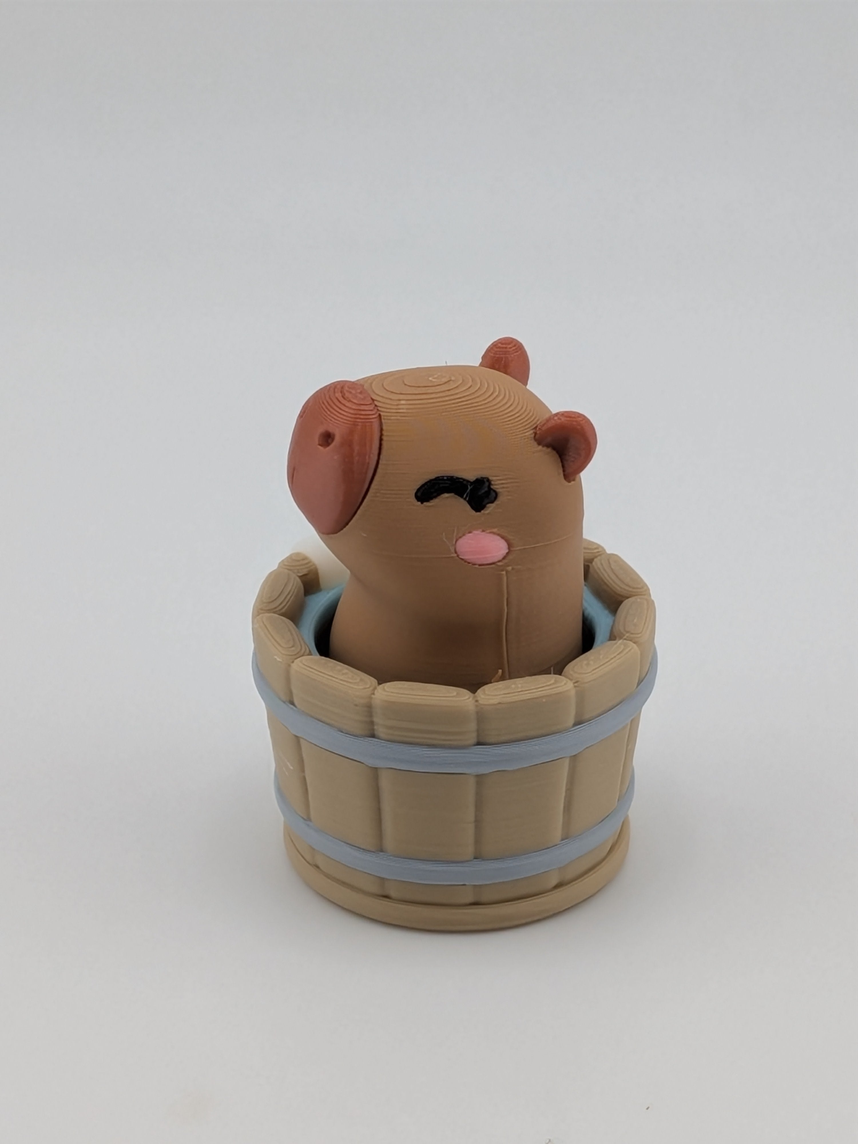Capybara Hot Springs Fidget Clicker Mechanical Keyboard Switch Desk Toy