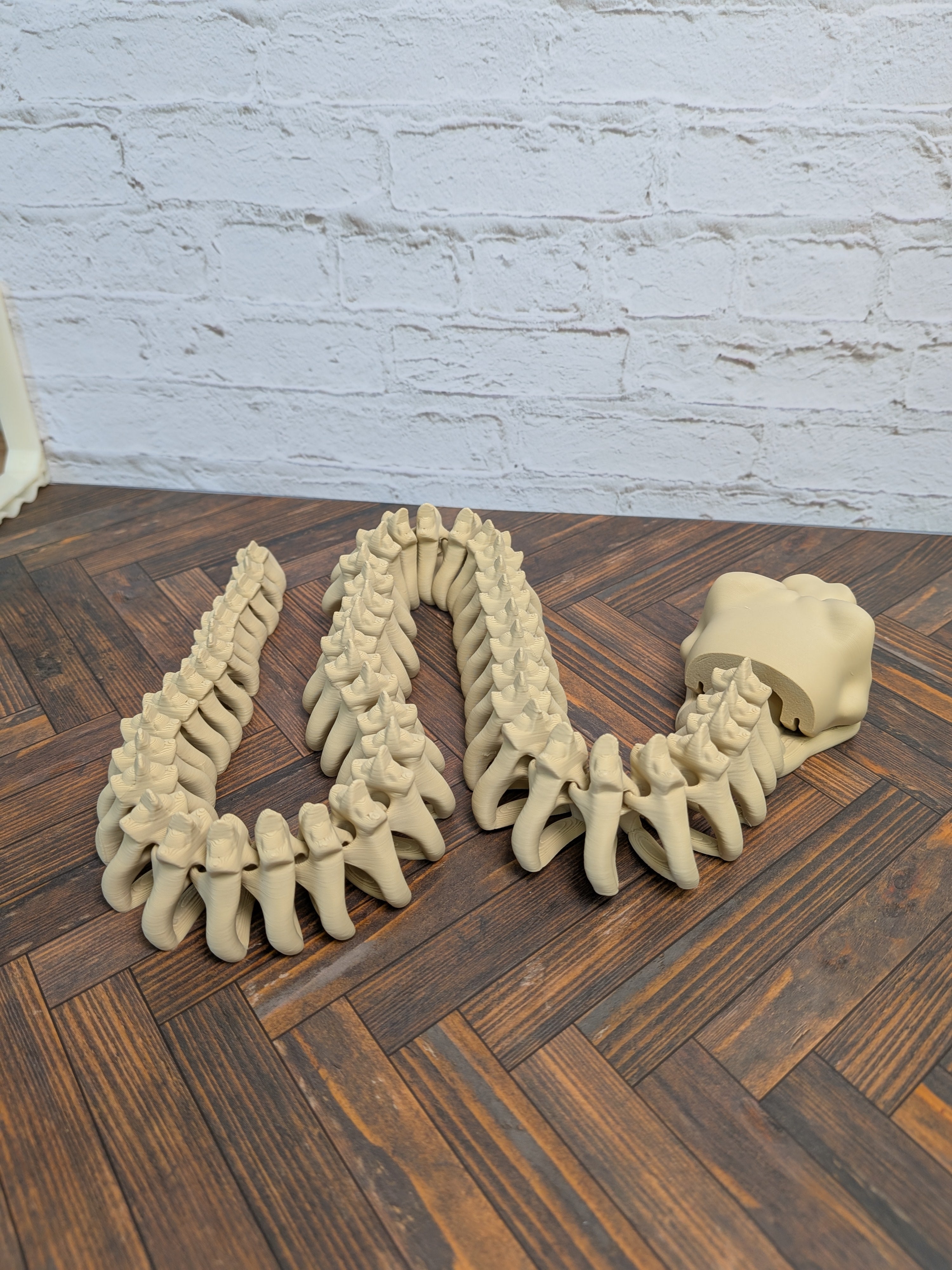 23 Inch Snake Skeleton Fidget Toy 3D Printed Articulated Viper Bone Desk Decor