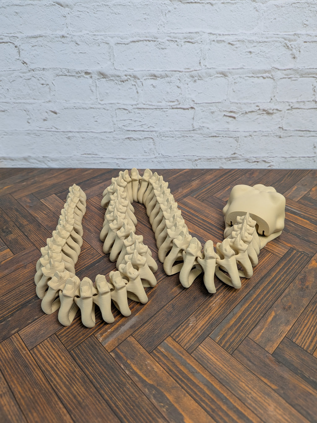 23 Inch Snake Skeleton Fidget Toy 3D Printed Articulated Viper Bone Desk Decor