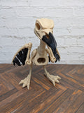 Articulated Skeleton Crow 3D Printed Poseable Raven Gothic Halloween Desk Decor