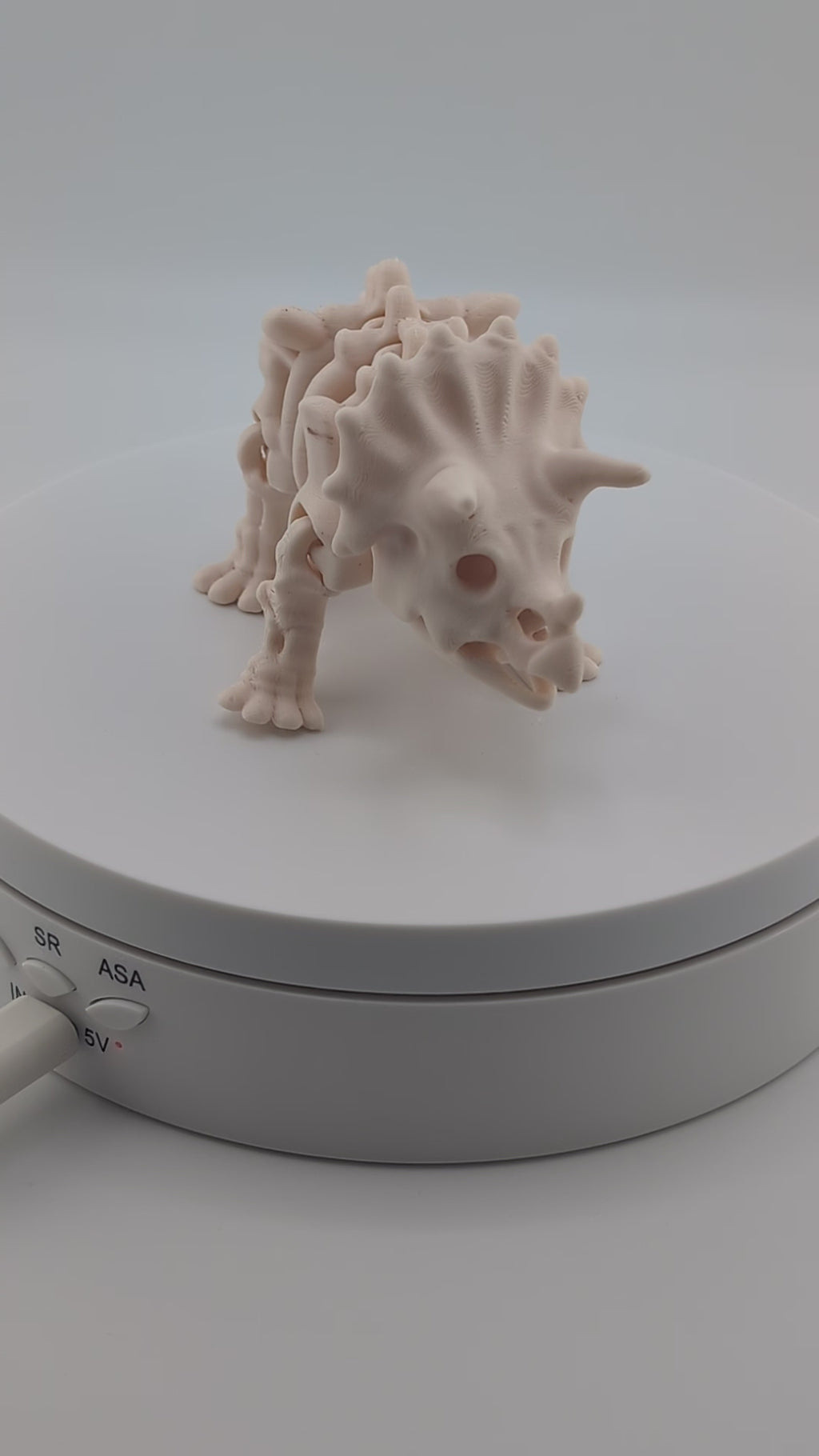 Flexi Skeleton Triceratops – 3D Printed PLA Toy