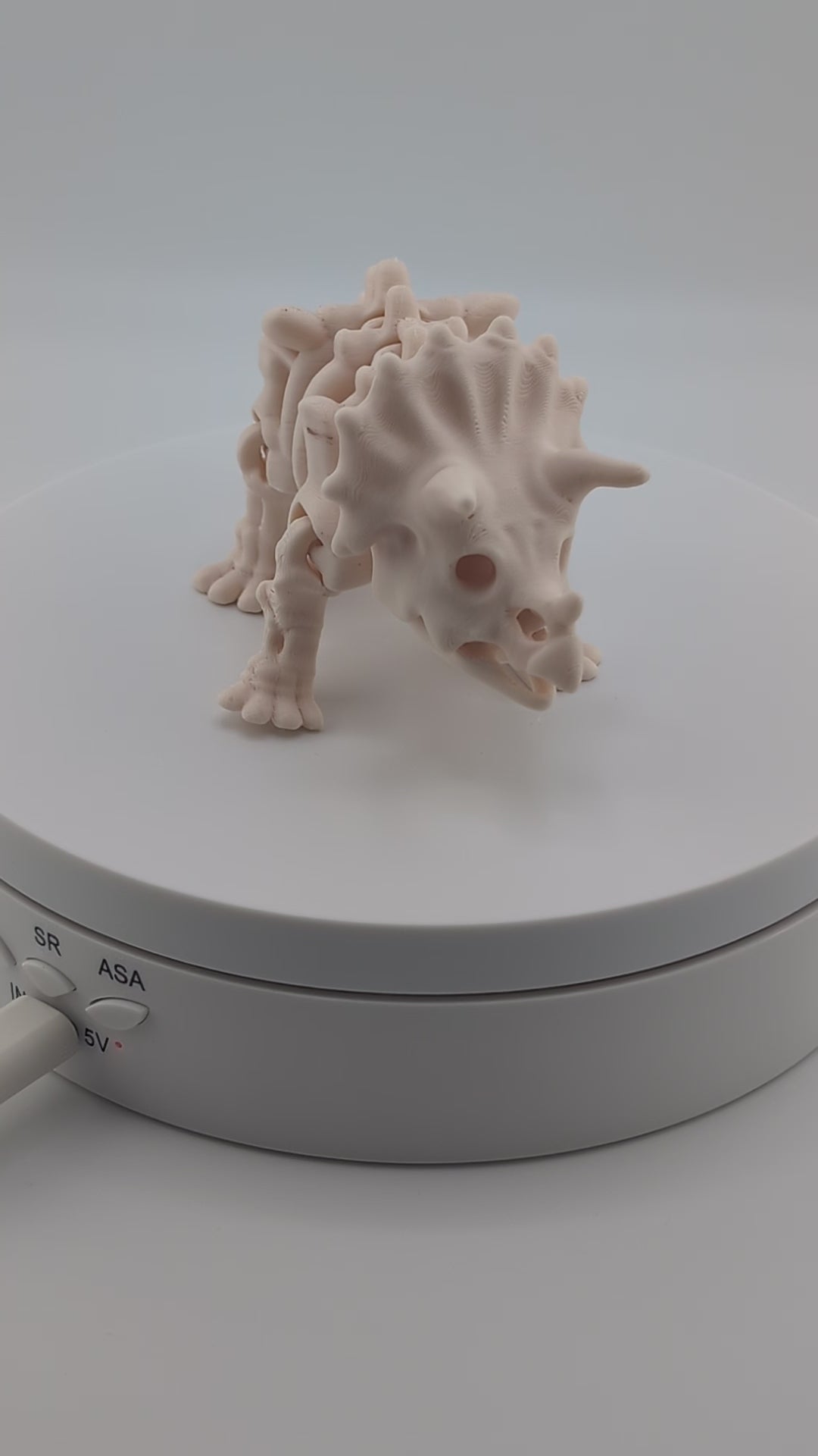 Flexi Skeleton Triceratops – 3D Printed PLA Toy