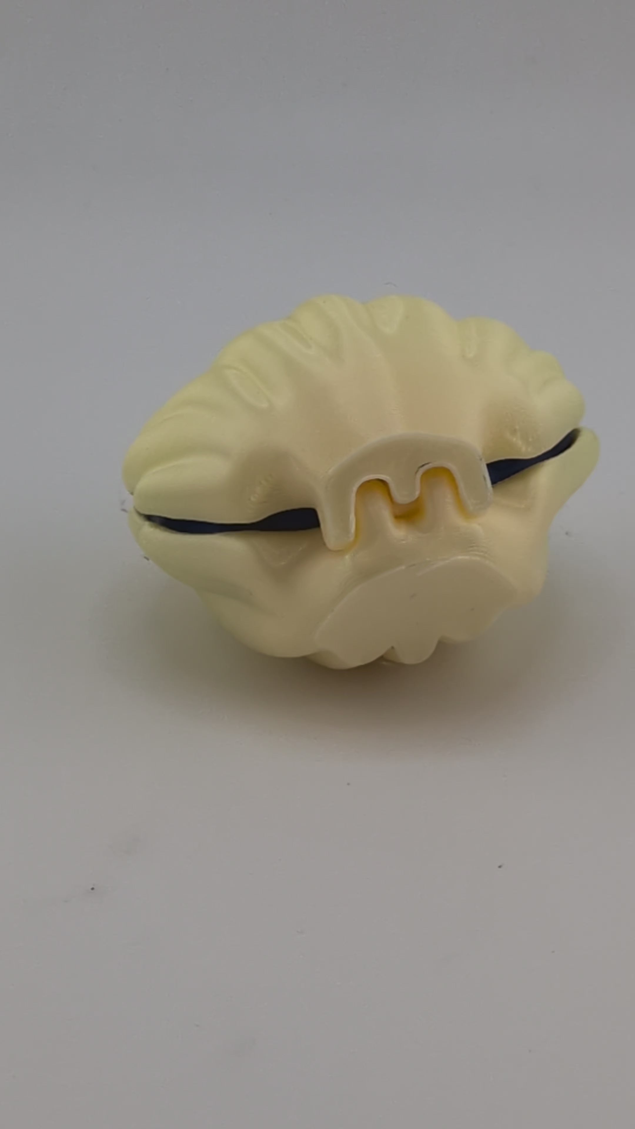 Oyster Clam Fidget Clicker Mechanical Keyboard Switch Tactile Toy