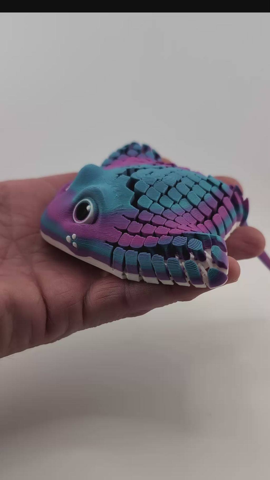 Flexi Manta Ray Fidget Toy Articulated Sea Creature Made from PLA Plastic