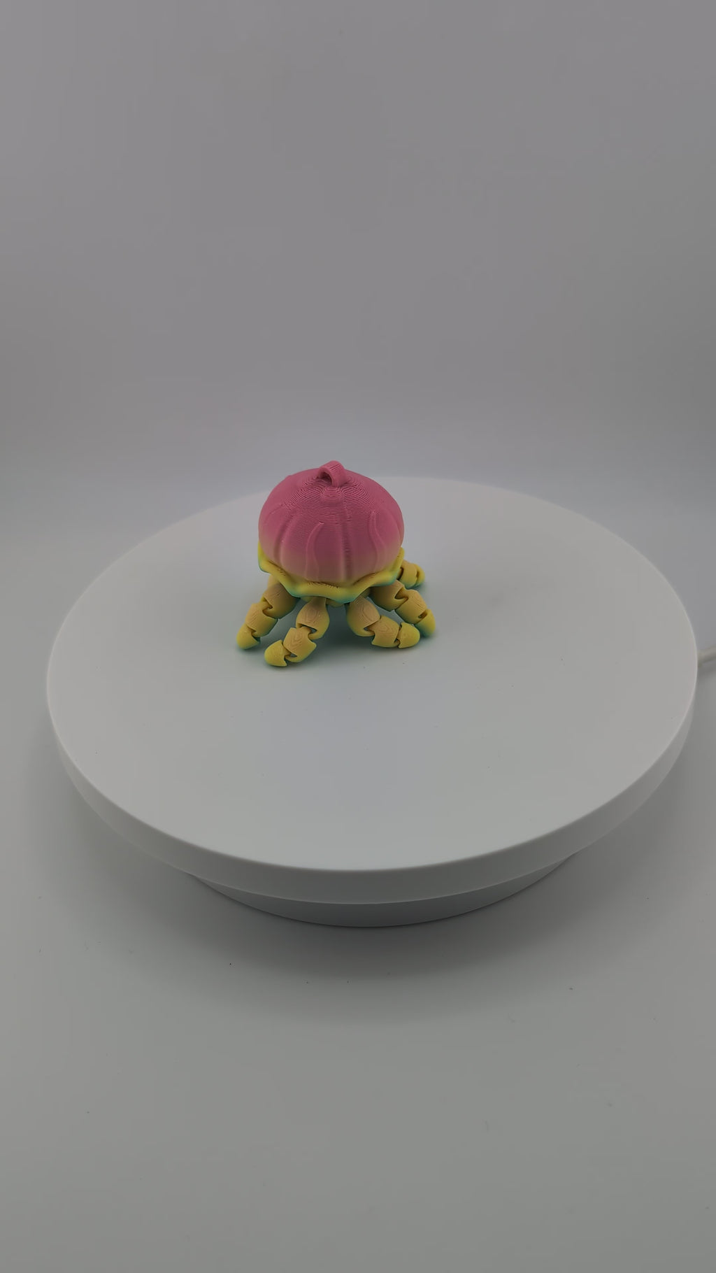 Flexi Jellyfish Keychain – Rainbow Fidget Fun for All Ages