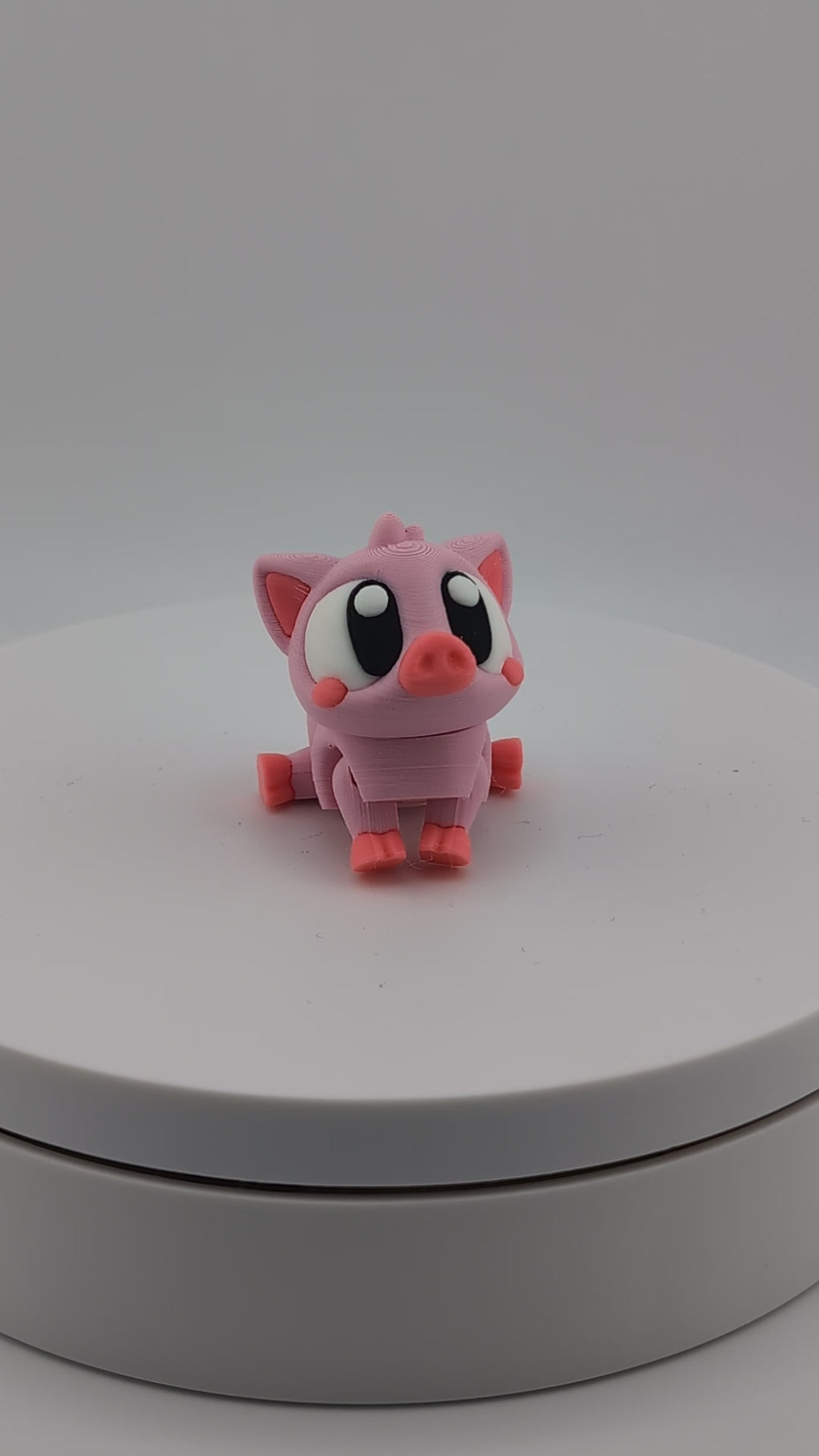 Oink-tastic charm meets fidget fun!